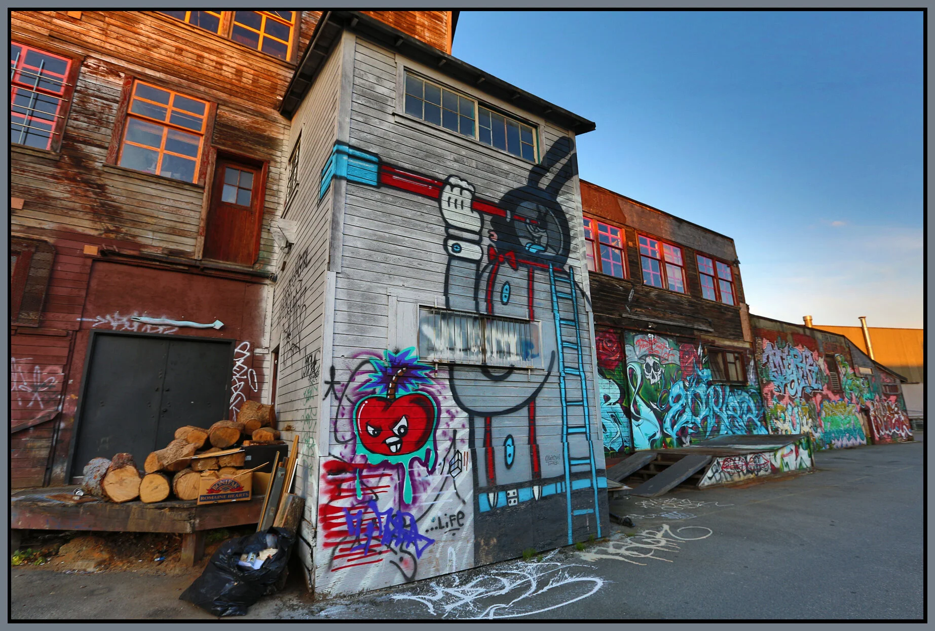 1042 Parker Alley Graffiti_May 20_2016_HDR_K4585_4x6s.jpg