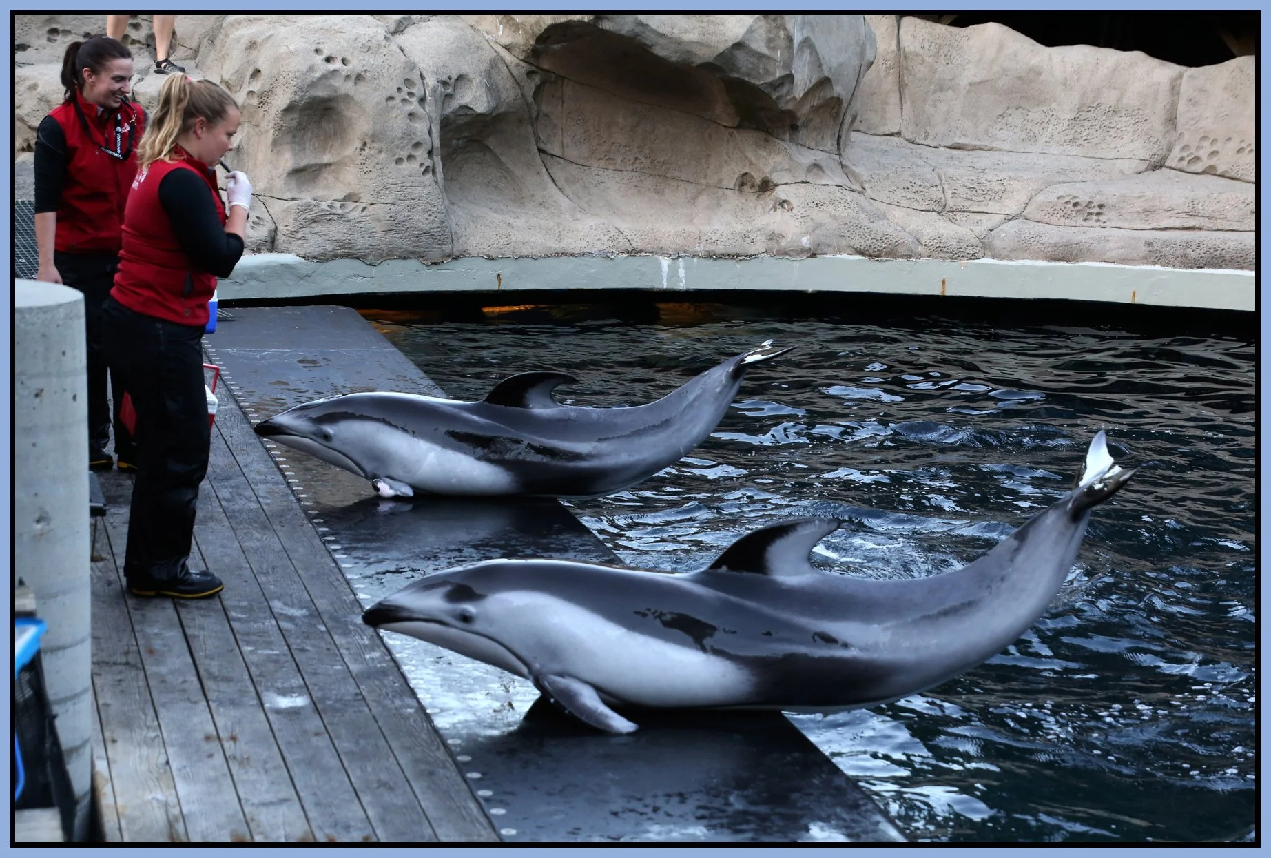 Vancouver Aquarium_Apr 20_2015_F5013_4x6s.jpg