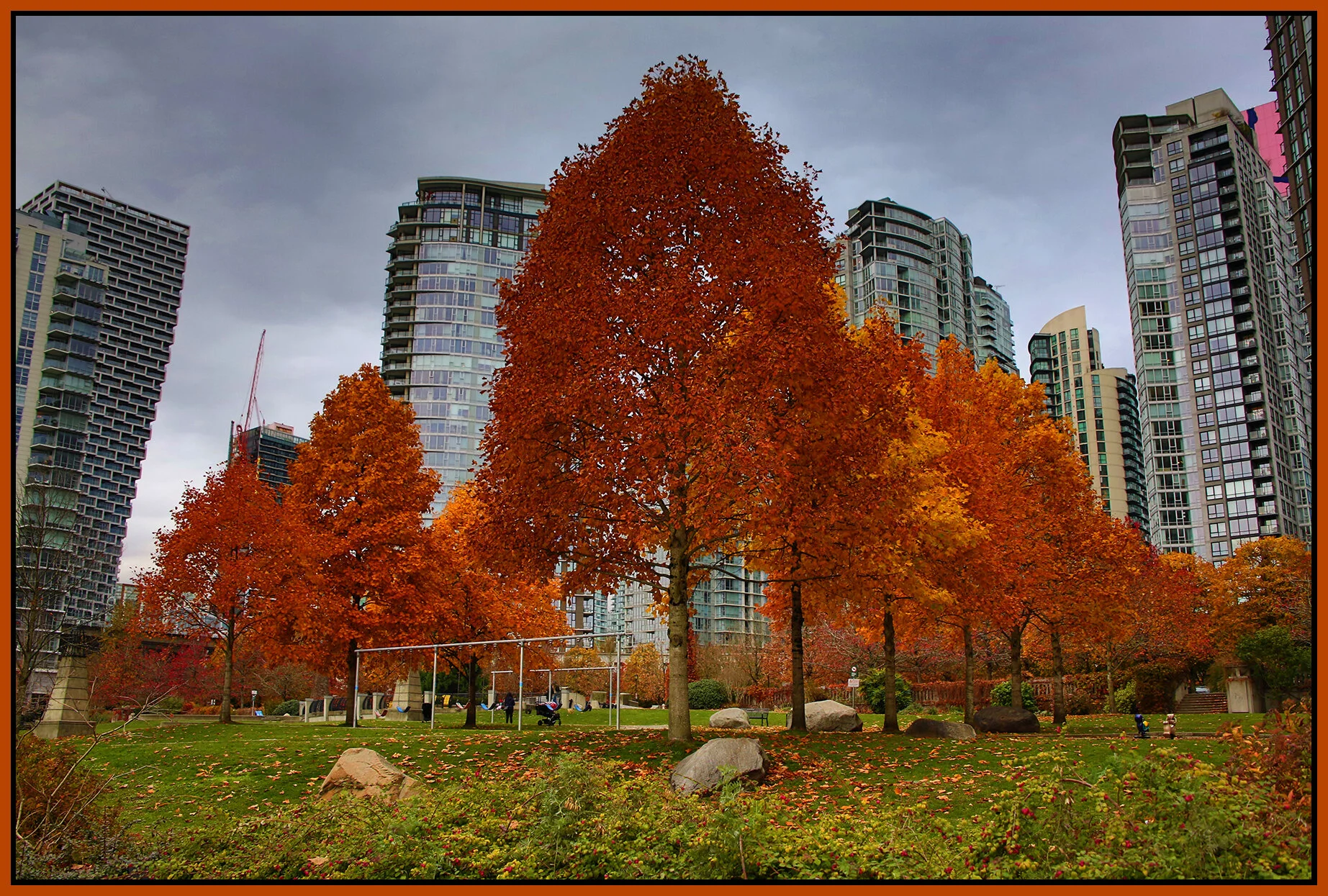 Concord Pacific Fall Trees_Nov 12_2020_HDR_3B5357_4x6s.jpg