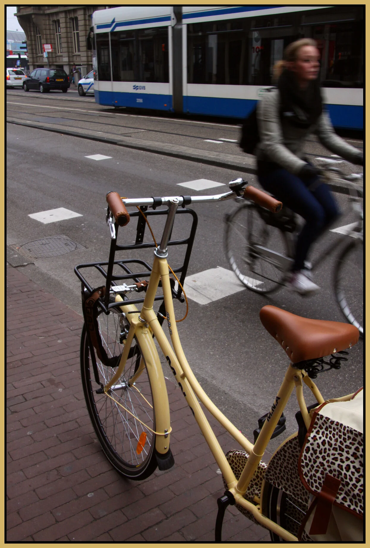 Amsterdam bikes_Nov 8_2011_6708vel_4x6s.jpg