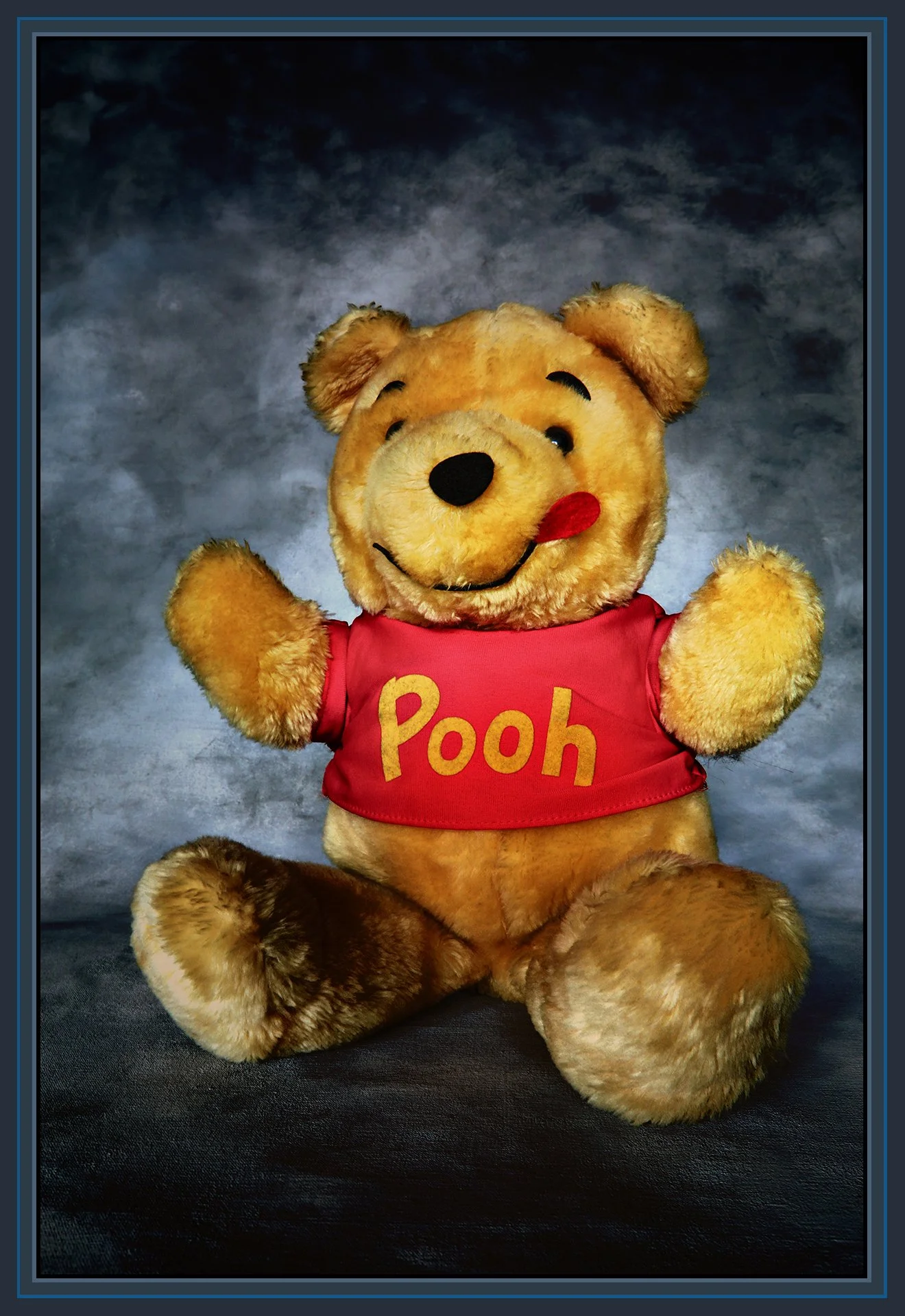 Winnie the Pooh_Oct 15_2020_HDR_4G8539_peShdedSknLoClr_NatBII_IntnSunst_4x6s.jpg