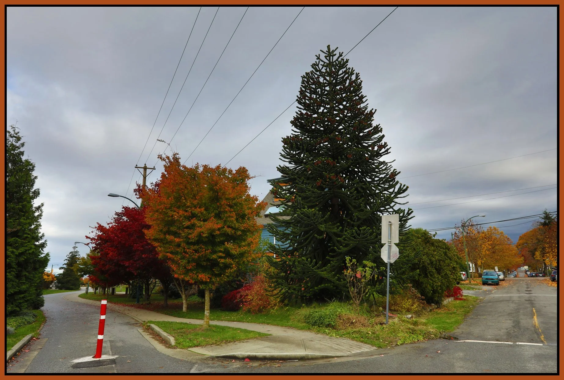 1999 Gd Vw Hwy Trees_Oct 26_2016_HDR_A4854_4x6s.jpg