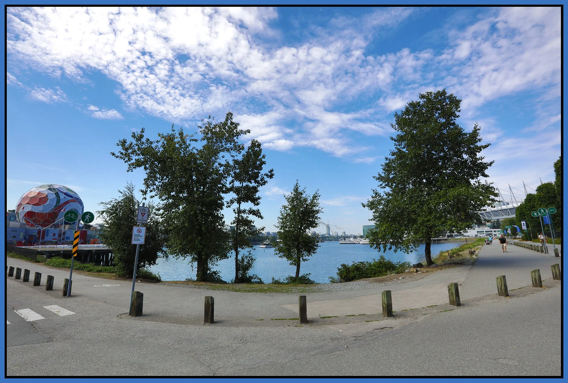 6 View Trees_Jul 22_2026_HDR_4L6896_4x6s.jpg