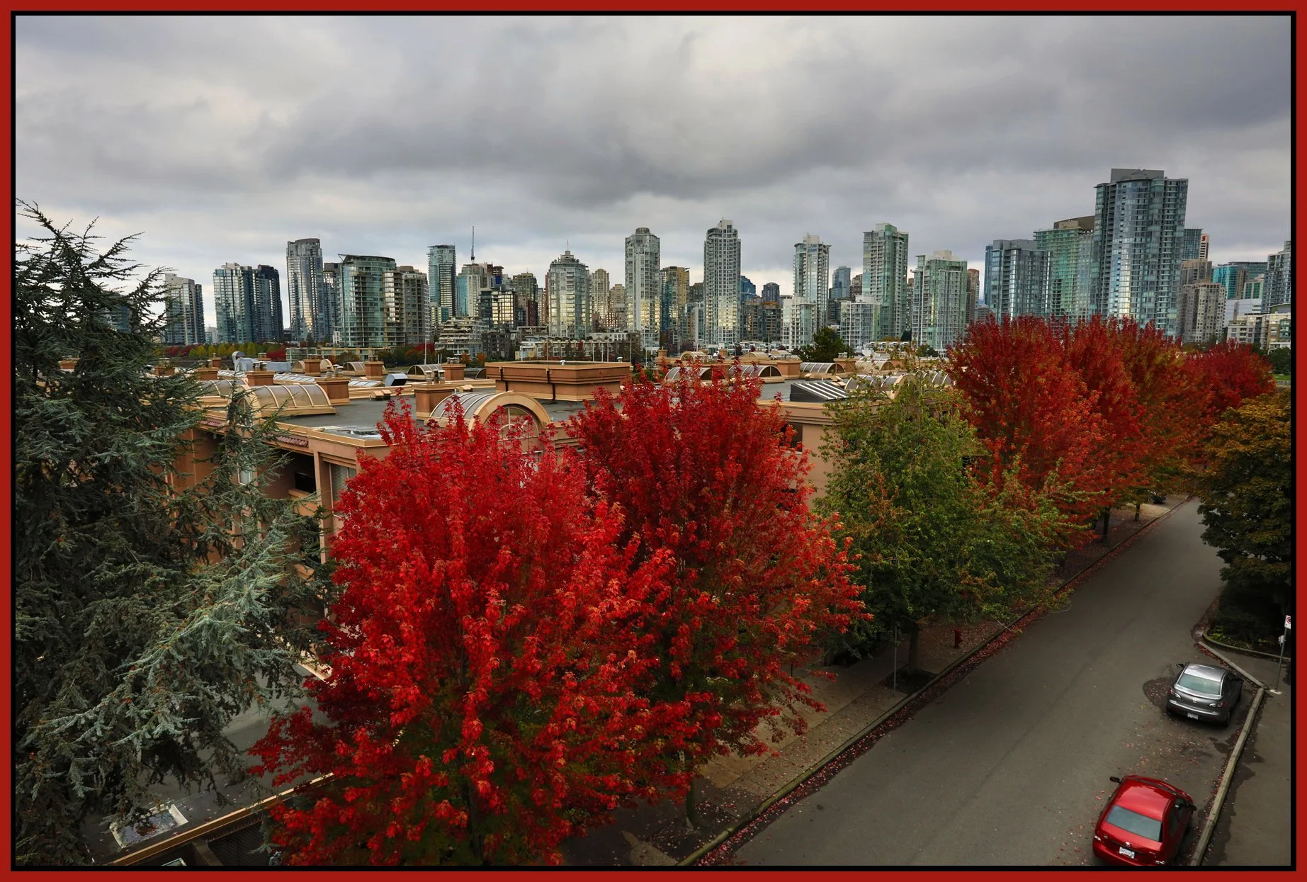 Cambie Bg LkgNW Trees_Oct 9_2016_HDR_A1774_4x6s.jpg