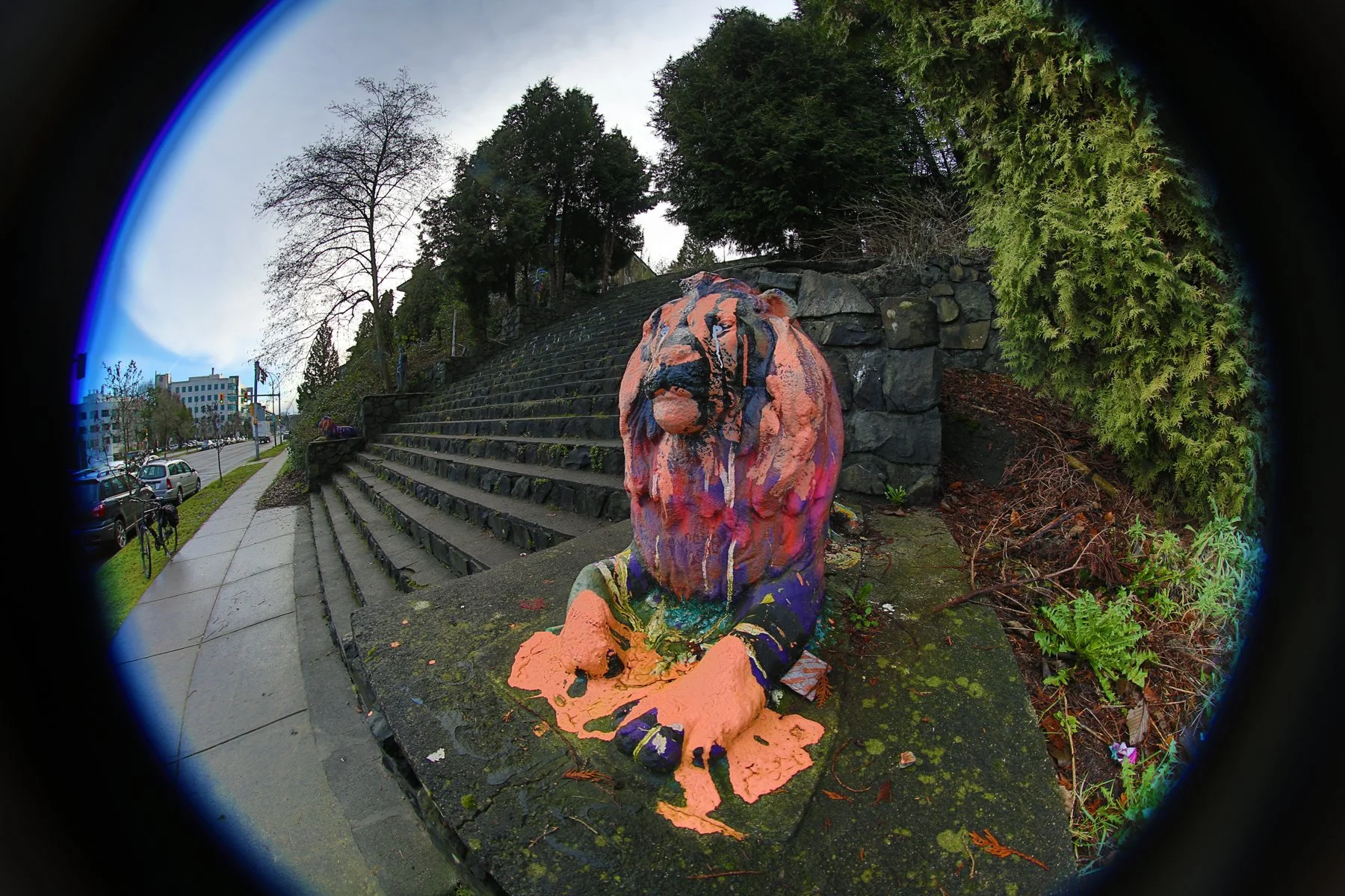 Sad Lion Northern_Feb 4_2015_HDR_F9430_4x6.jpg