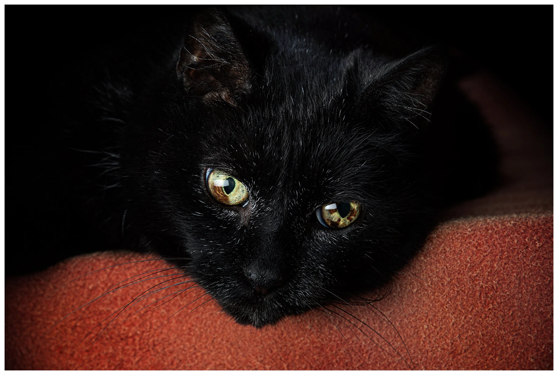 CC Hungover_Jun9_2020_CR2_4F4762_peShrpfctBrntd_4x6s.jpg