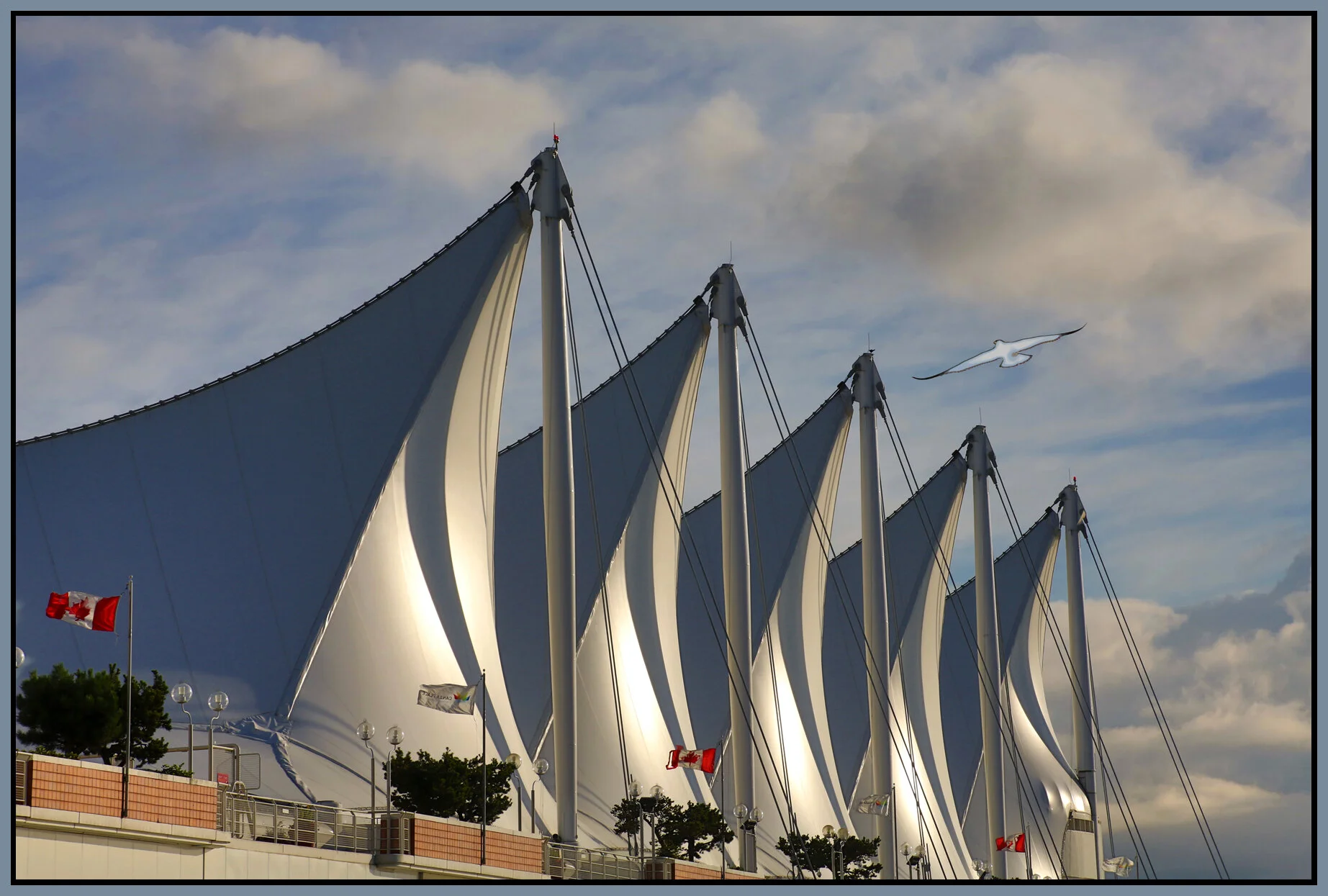 The Sails_Sep 1_2016_HDR_L9688_4x6s.jpg