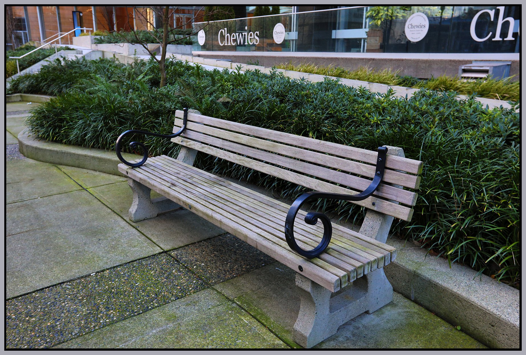 Bench on W Hastings_Jan 12_2019_HDRD2069_4x6s.jpg
