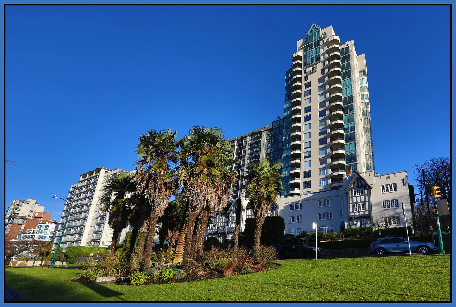 Beach Ave Palms_Dec 18_2024_HDR_5E6949_4x6s.jpg