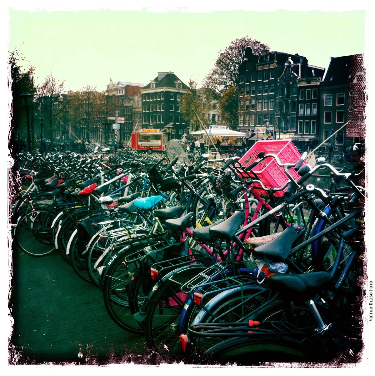 Amsterdam Bikes_Nov 8_2011_iPhone_1553_4x4.jpg
