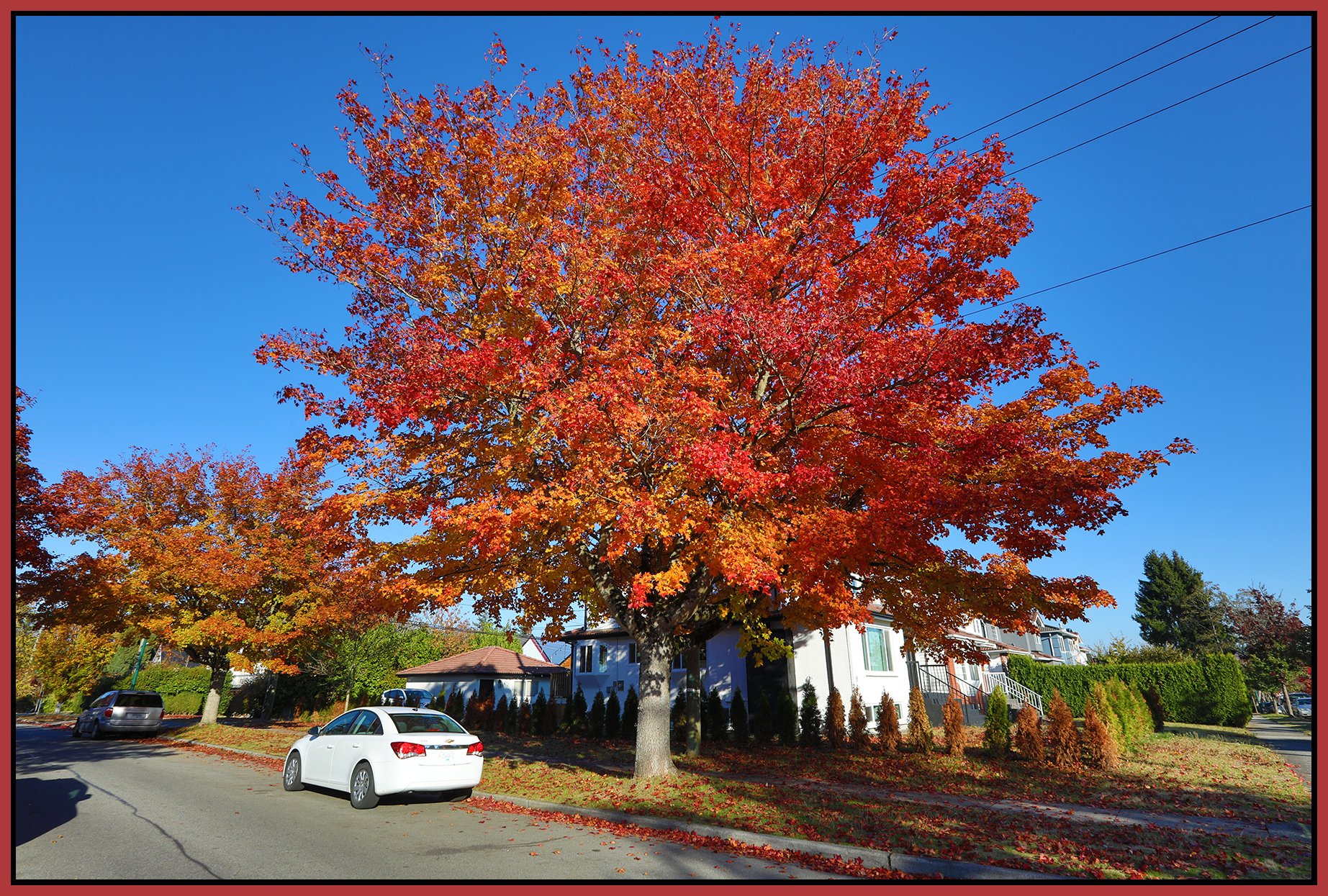 0020 Slocan Tree St_Nov 13_2022_HDR_5C5706_4x6s.jpg