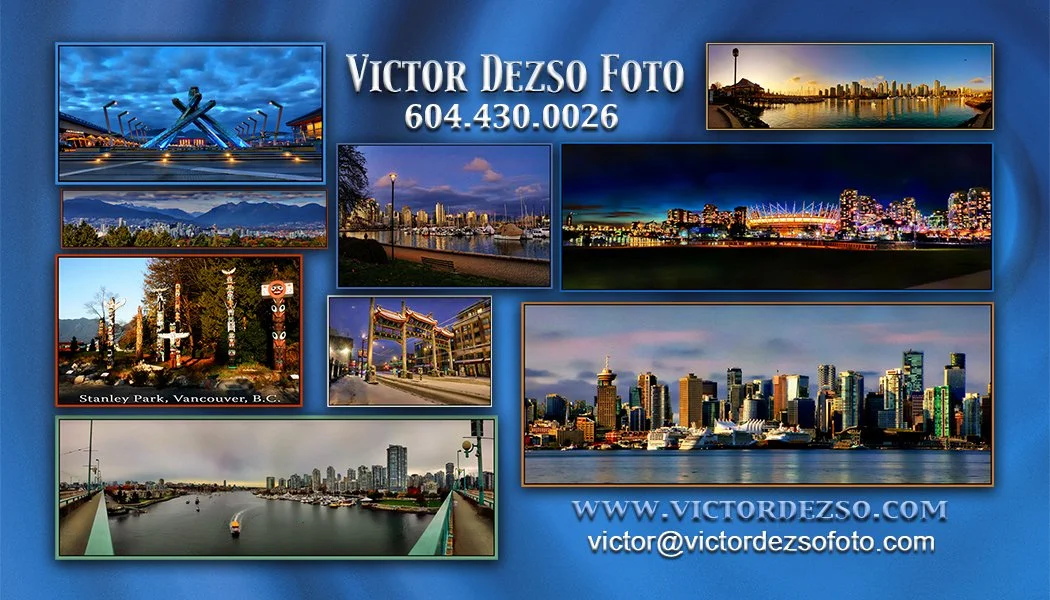 Scenics Bus Card 2 Dec 2024_2x3.5.jpg