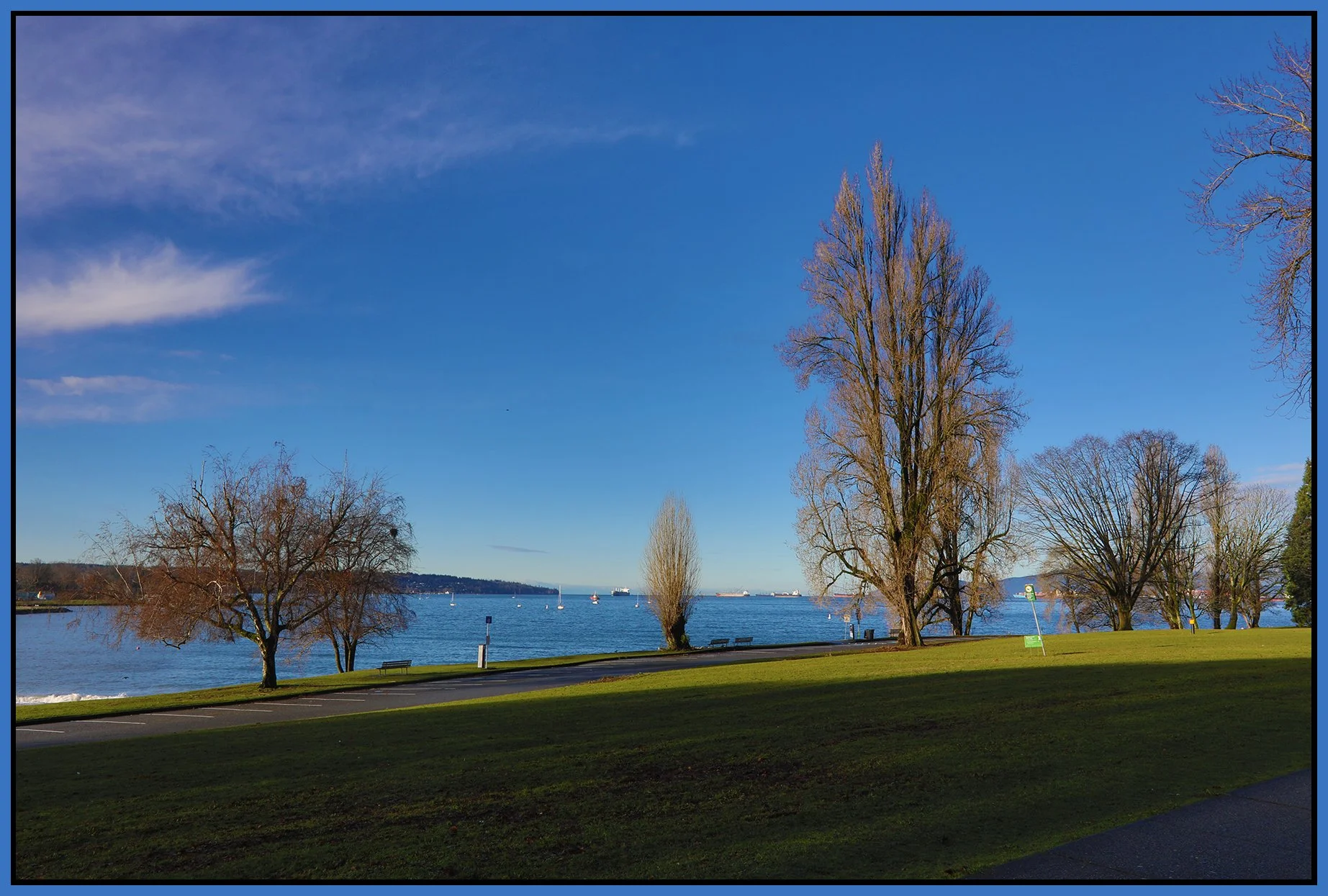 English Bay Trees _Dec 18_2024_HDR_5E6953_4x6s.jpg