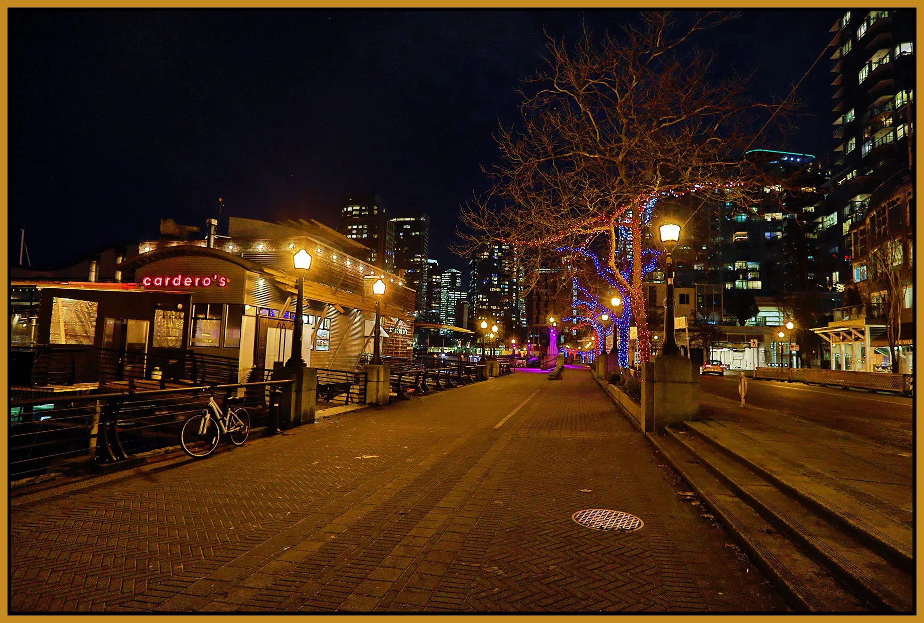 Seawall Water Walk Cardero's_Jan 8_2025_HDR_5E7597_peOlsenartGldn_4x6s.jpg