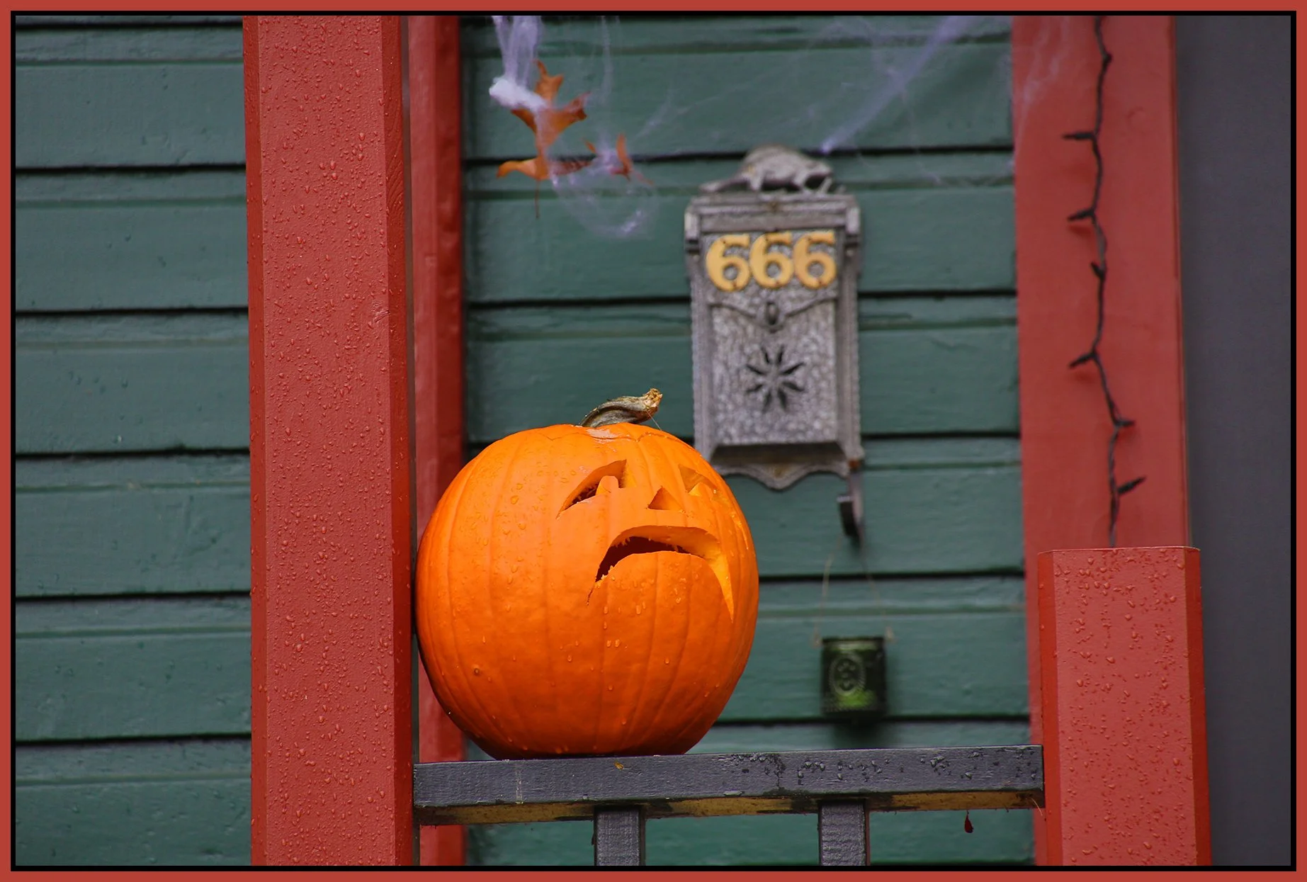 Pumpkin_Nov 2_2015_HDR_FH9581_4x6s.jpg