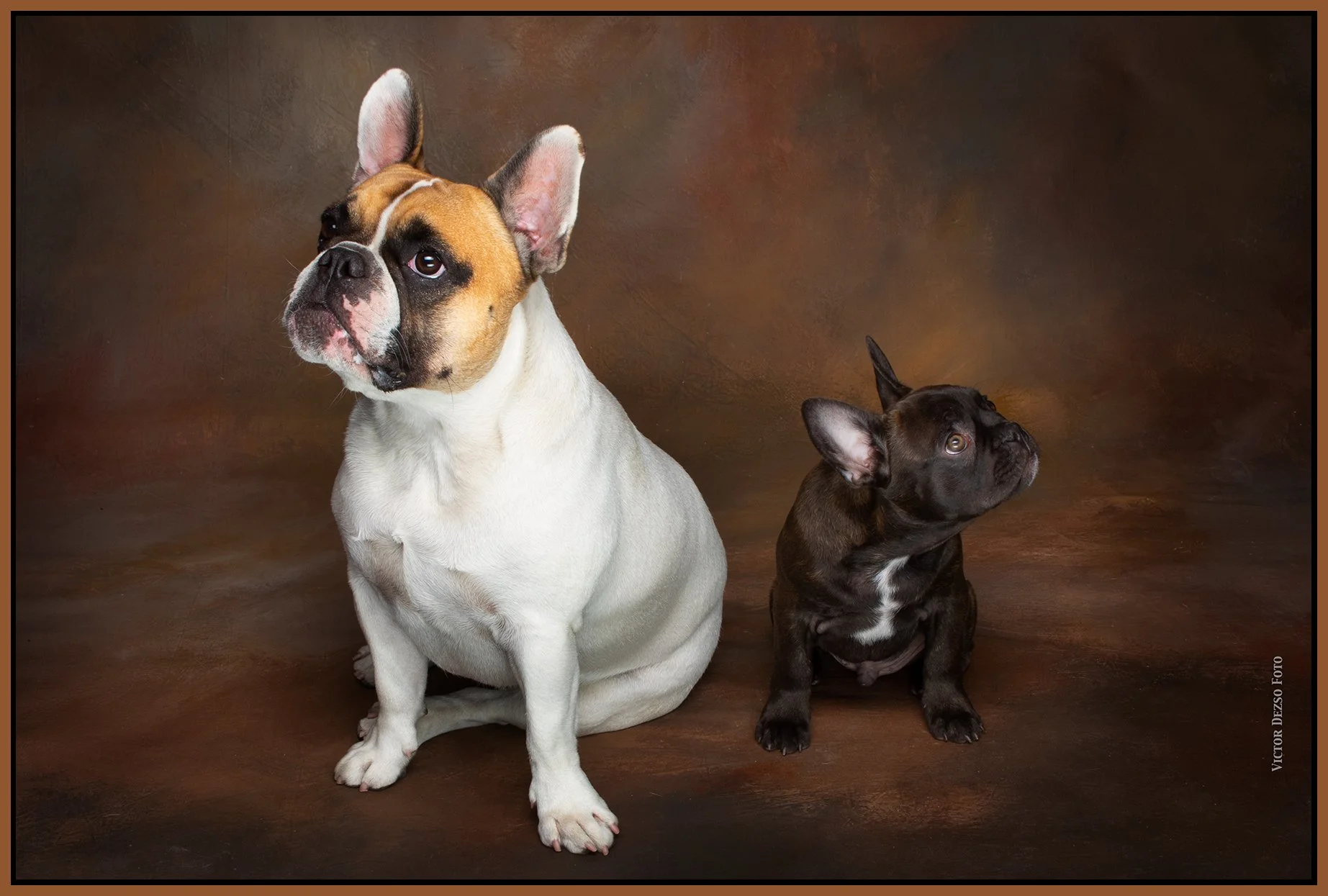 Fudge & Nova_Aug 27_2023_CR2_5C5219_4x6s.jpg