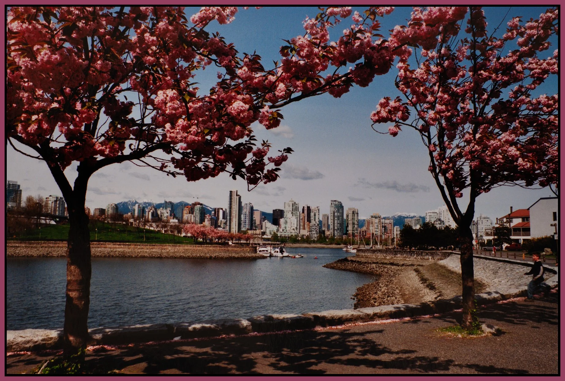 1.1 View False Ck_1998_9198_4x6s.jpg