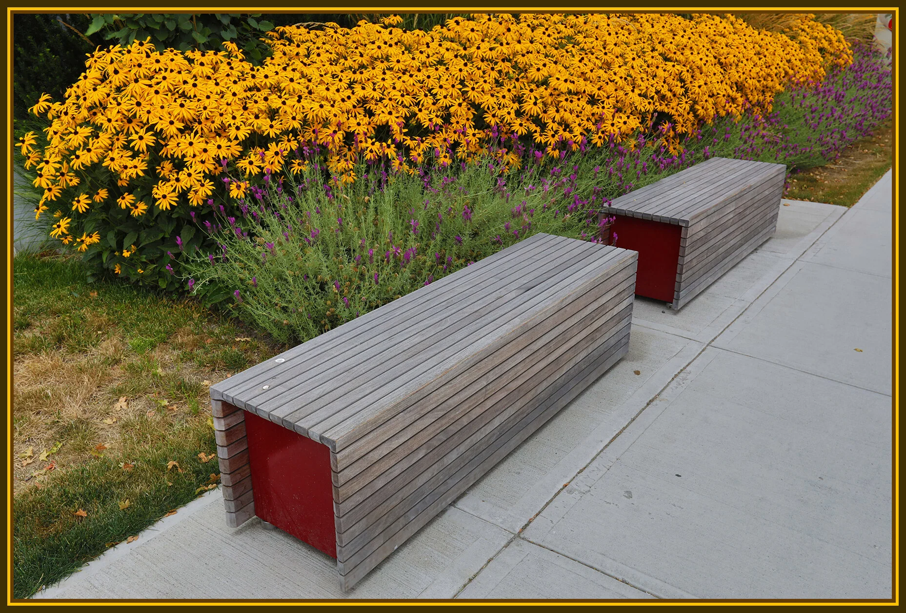 Benches on King Ed_Aug 1_2018_HDR_C7939_4x6s.jpg