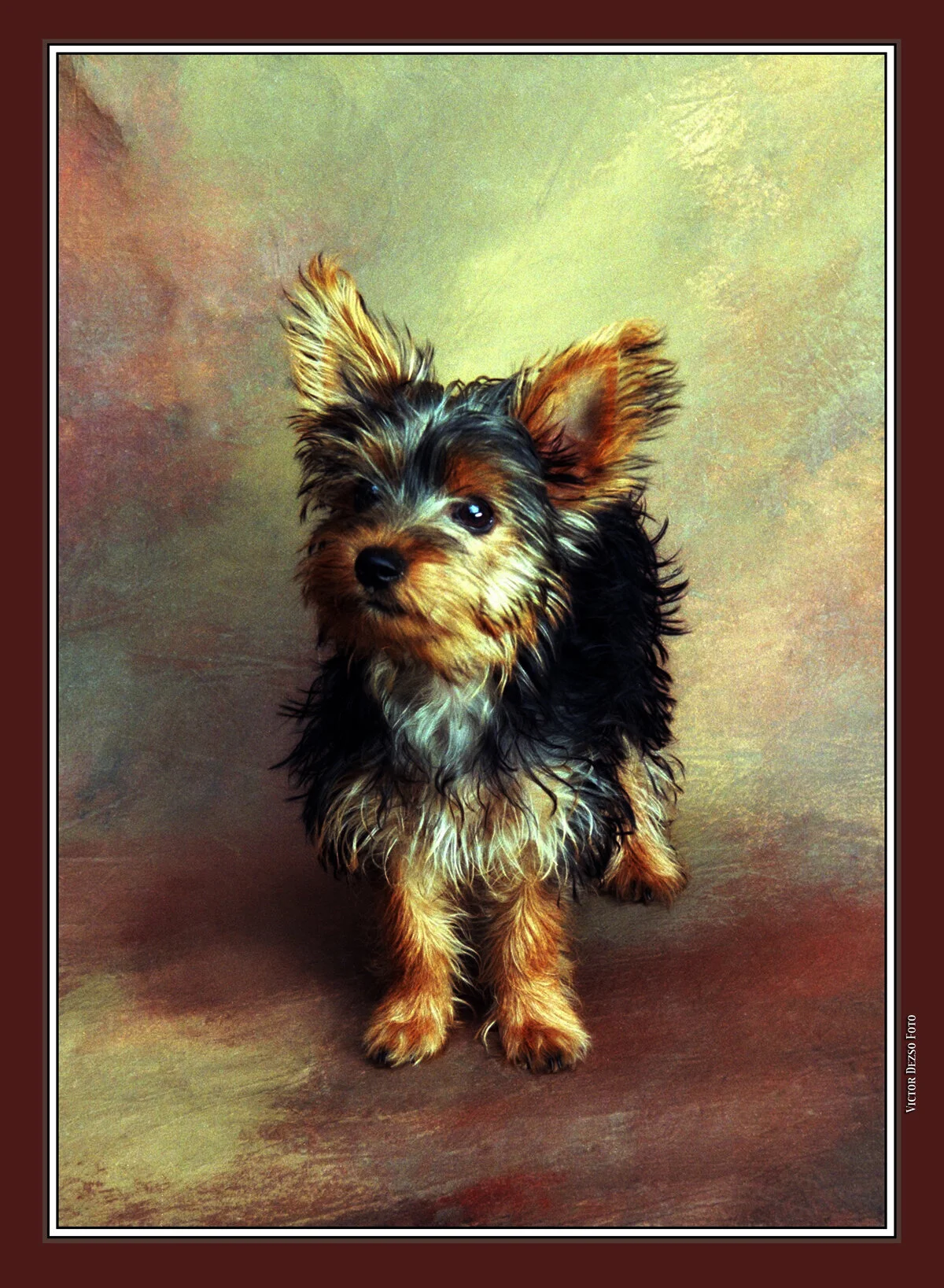 Paula's Dog 17_1_4x6s.jpg