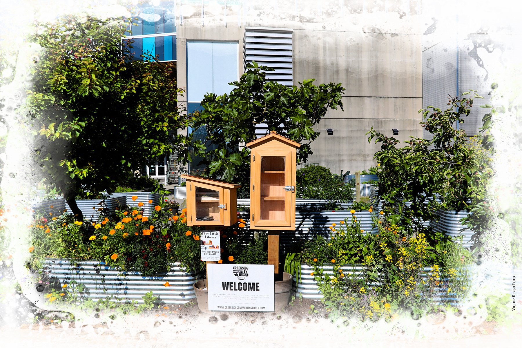 Little Library at False Creek_May 28_2025_HDR_5F3227_peVM026_4x6.jpg