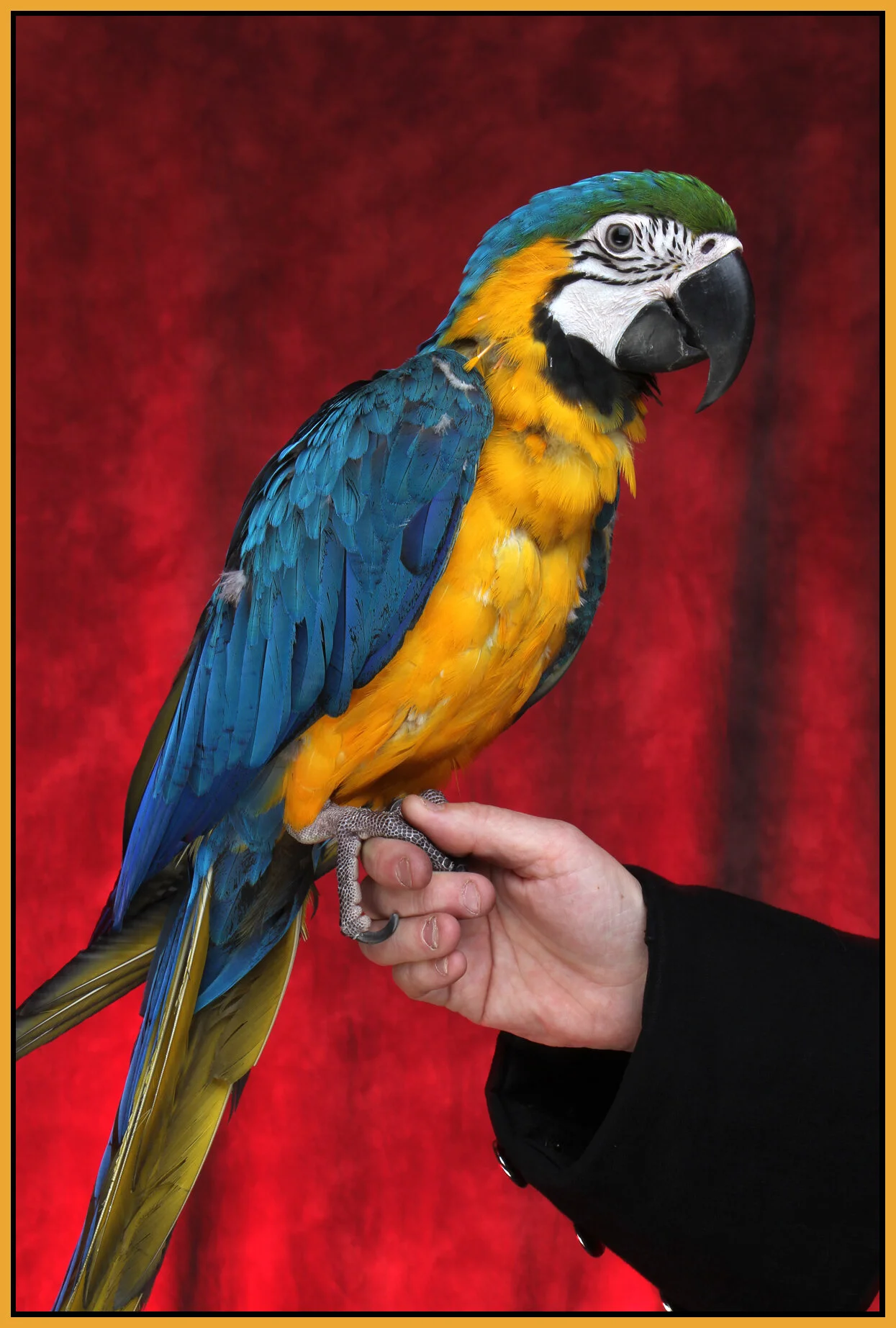 Coco_Jan 9_2011_9974_4x6s.jpg