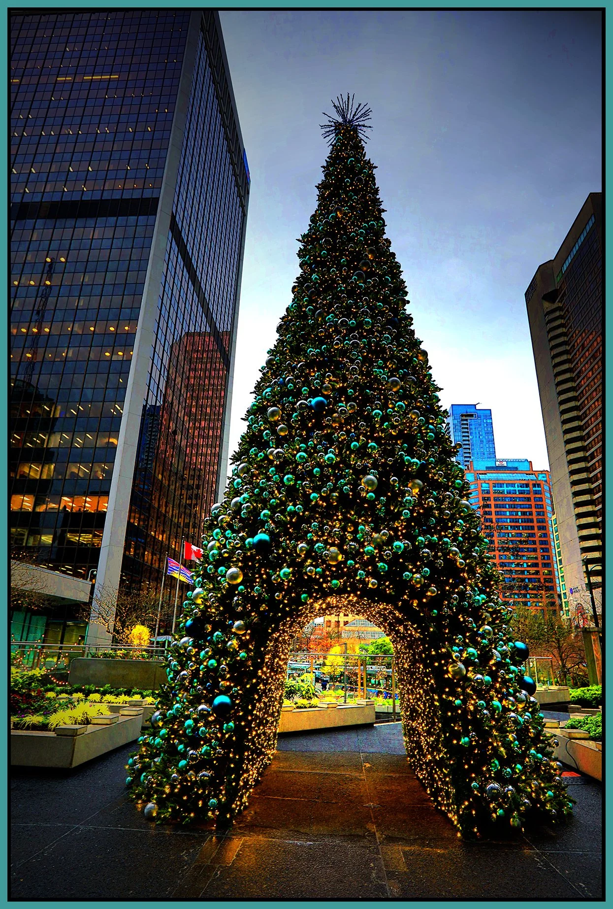 Xmas Tree_Nov 22_2021_HDR_5A1490_peVibrClrs_PopDrkn_4x6s.jpg