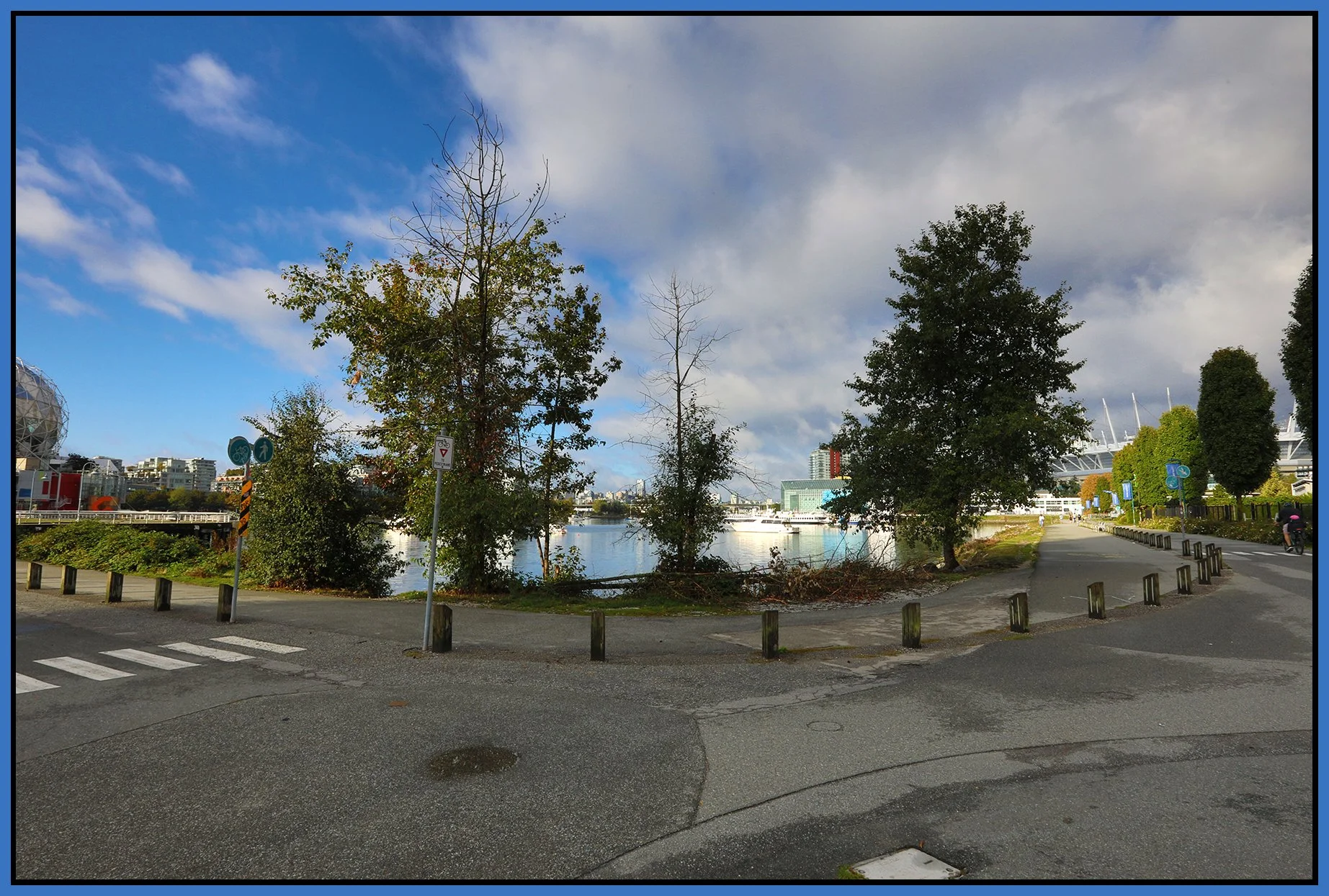 6 View Trees_Sep 21_2025_HDR_4K3335_4x6s.jpg