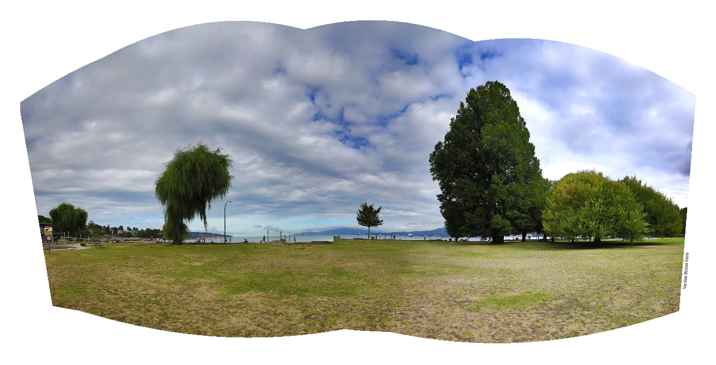 Kitsilano Beach Trees_Aug 17_2025_HDR_Pan_4K1232_4x8.jpg