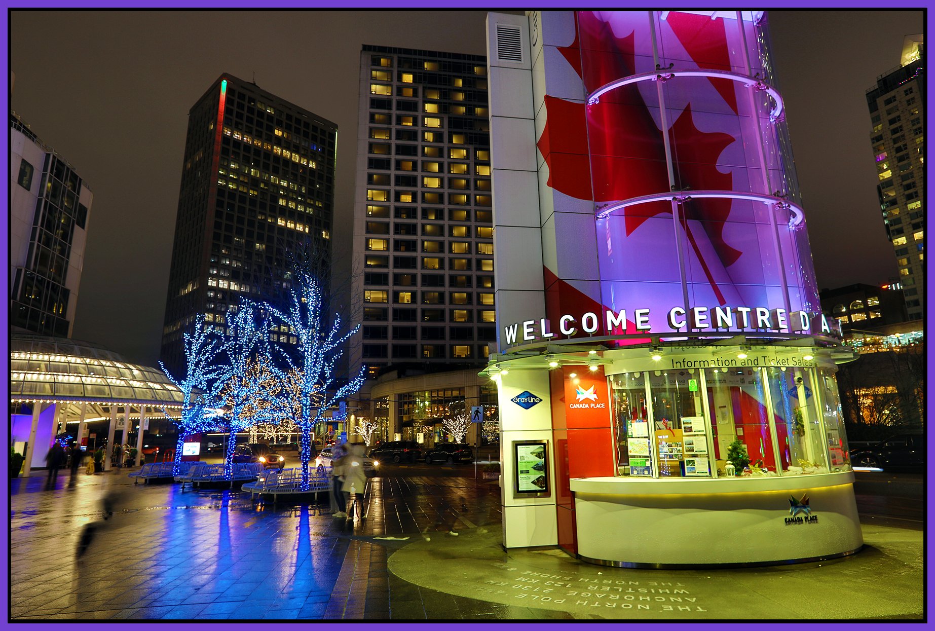 Canada Place Trees_Dec 29_2024_HDR_4J5079_peAutoBrtn_4x6s.jpg