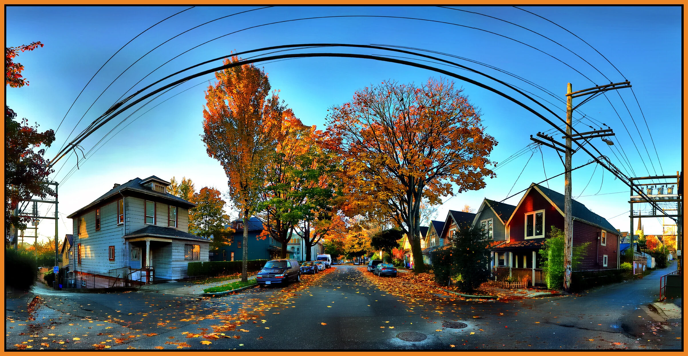 400 Heatley St Trees_Oct 28_2017_HDR_Pan_B4800_1_peHdr2013_1_4x8s.jpg