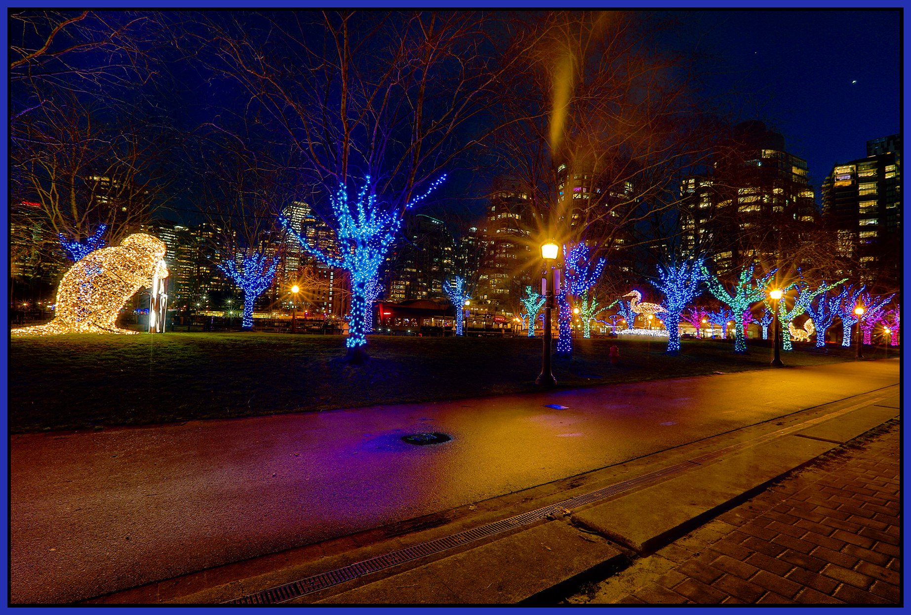 Cardero Park Art_Jan 8_2025_HDR_5E7541_pePop_4x6s.jpg