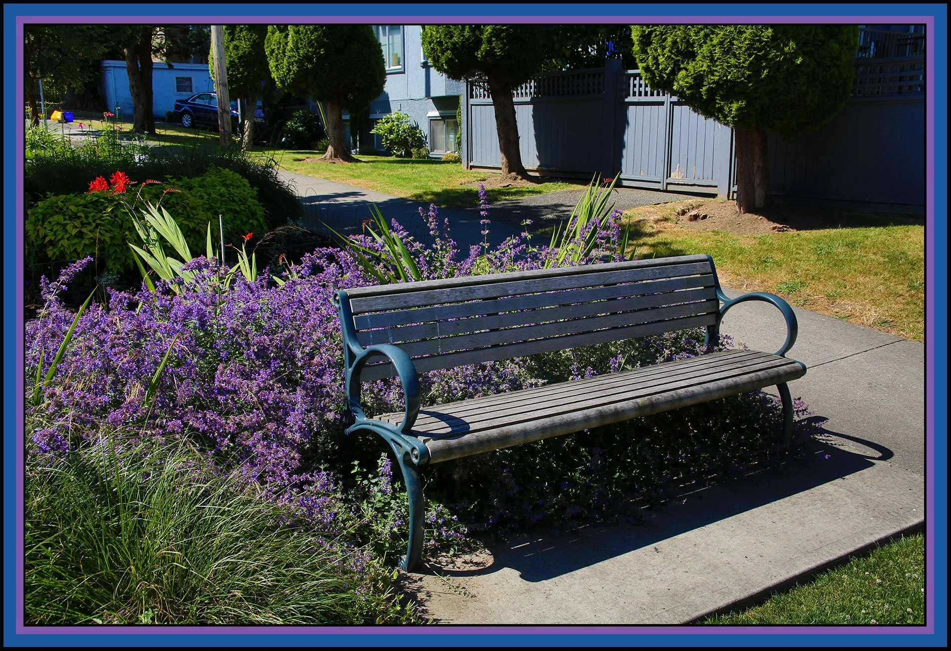 Bench in Kits_July 1_2019_HDR_A6843_4x6s.jpg