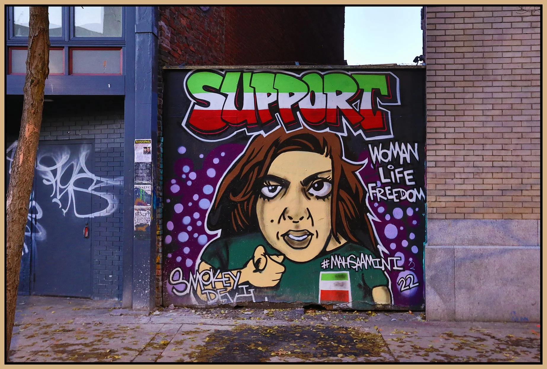 Chinatown Graffiti_Nov 27_2022_HDR_5C8123_4x6s.jpg