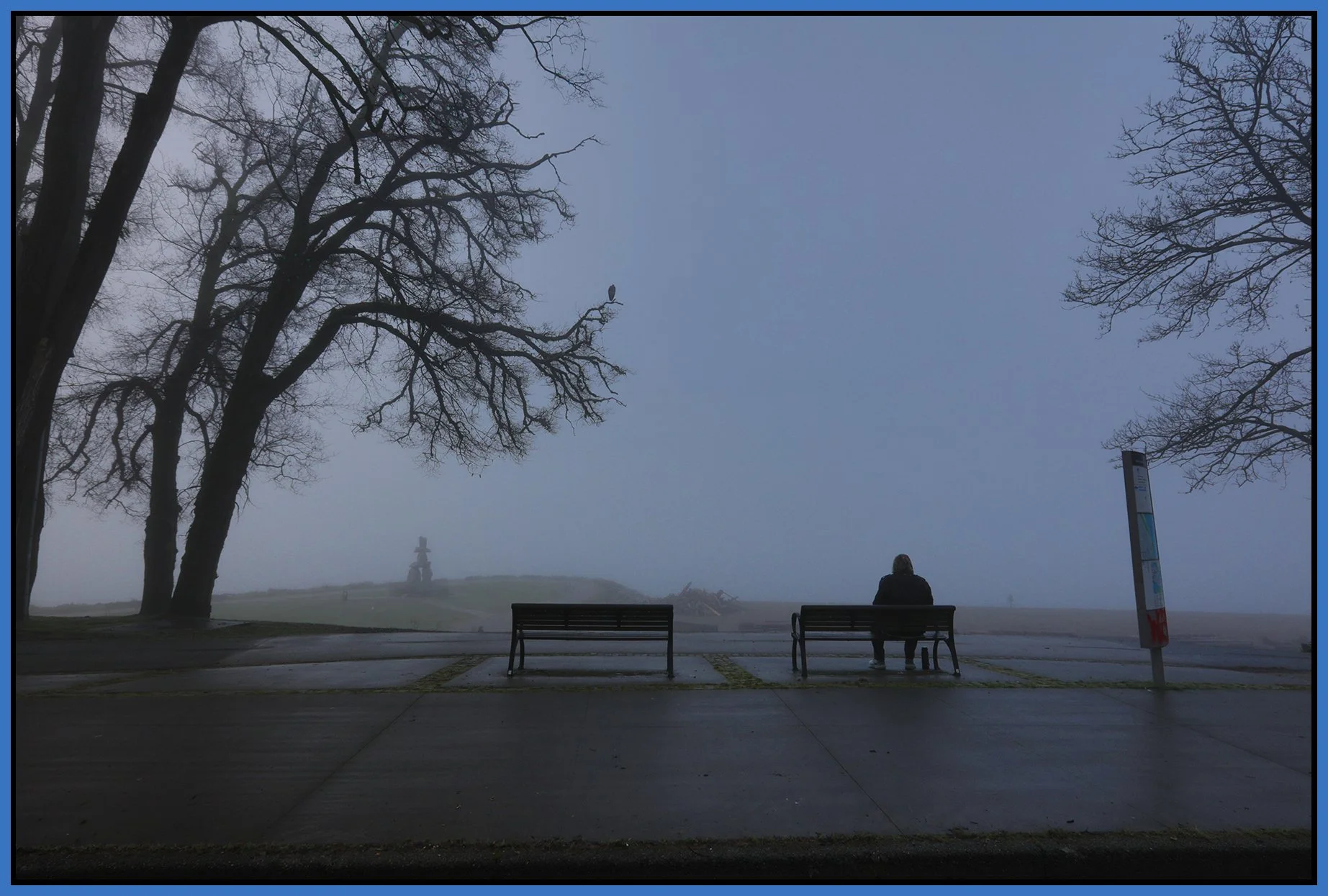 English Bay Trees & Benches_Jan 19_2026_HDR_4K7318_4x6s.jpg