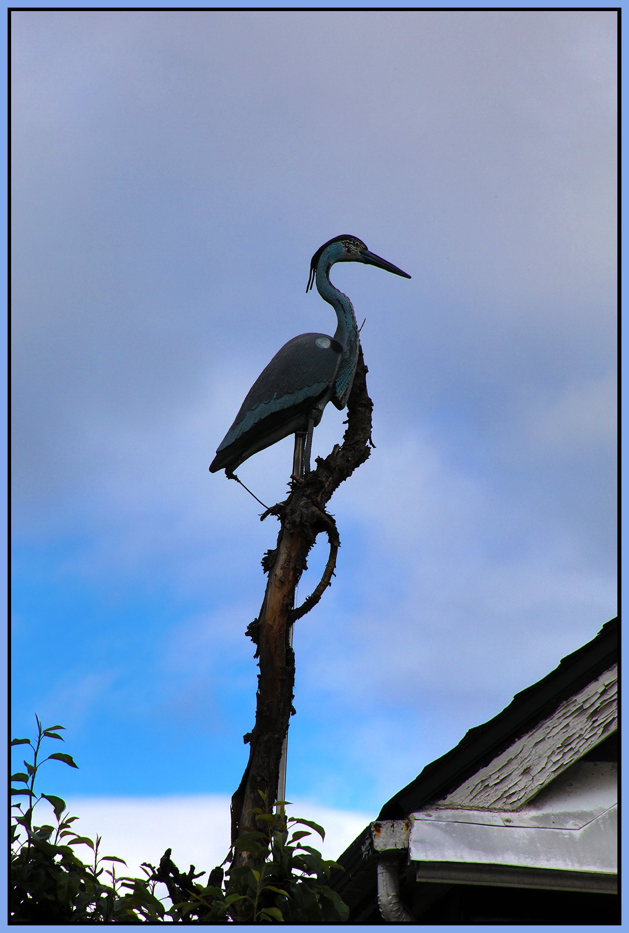 Weather Vane in Kits_May 28_2021_HDR_4G9114_4x6s.jpg