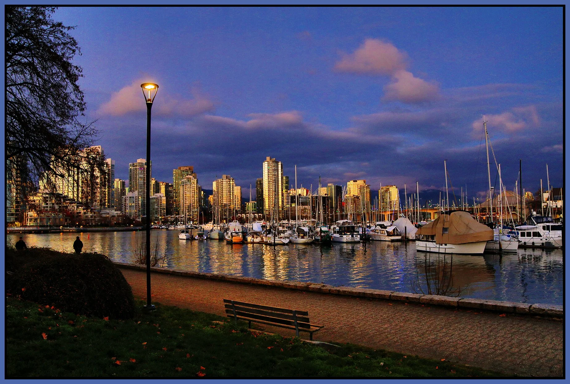 1.8 View False Creek_Nov 27_2024_HDR_4J4489_peSmrtCntrst+ClrPrsrvBrtn_4x6s.jpg