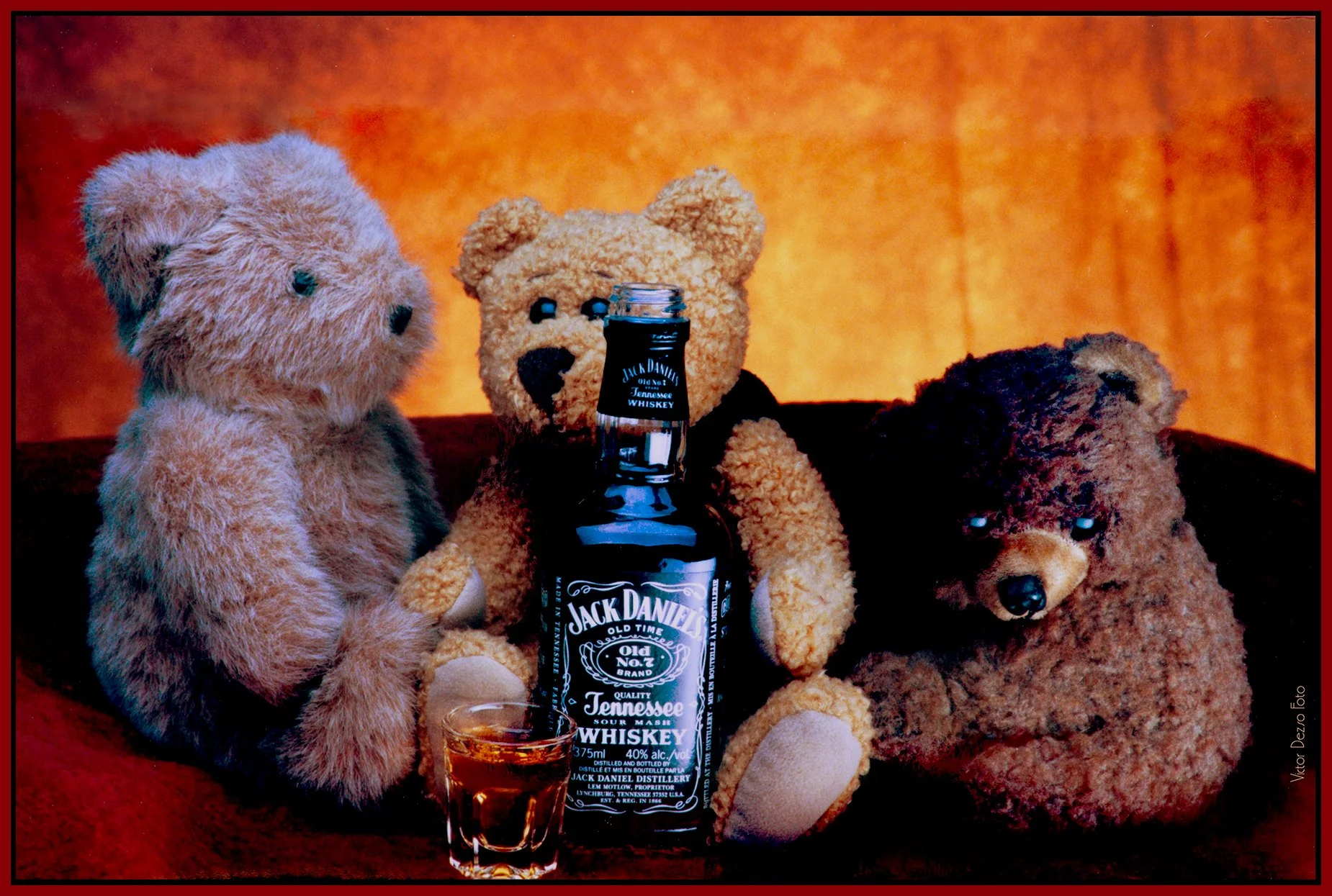 Teddy Bears_Jan 21_2002_1683_4x6s_peNatB.jpg
