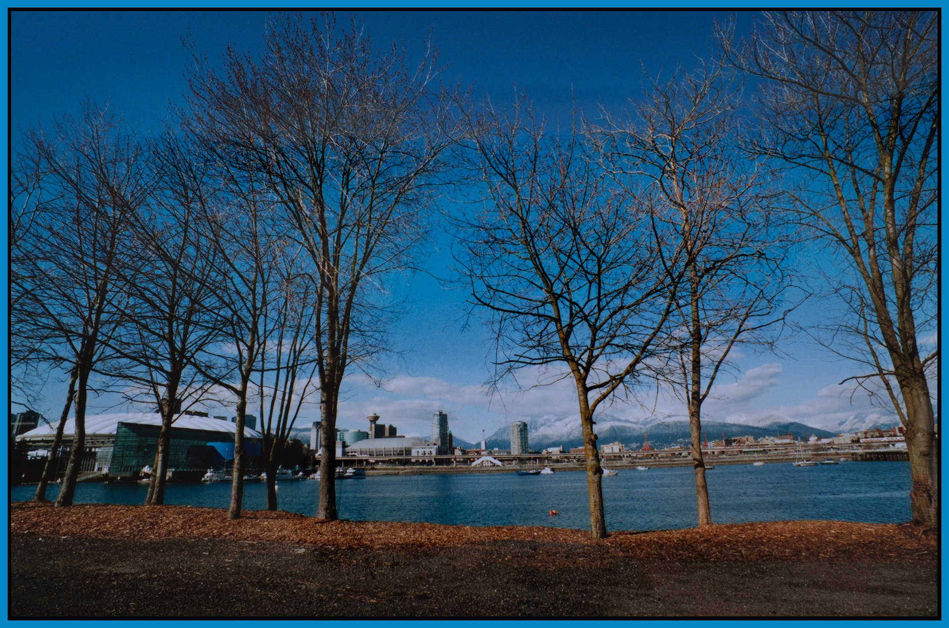 4 View False Creek_Mar 17_2002_2018_4x6s.jpg
