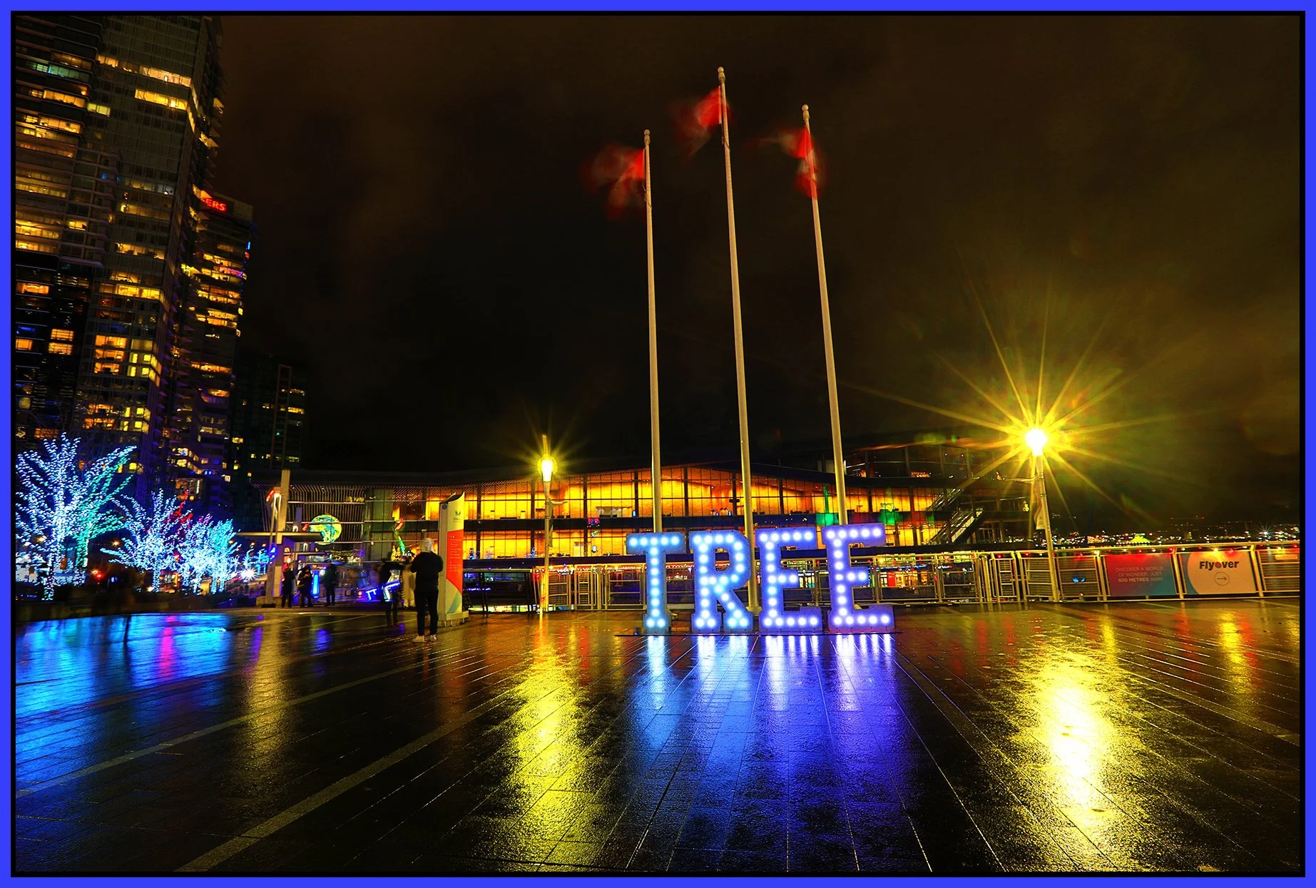 Canada Place Tree Sign_Dec 29_2024_HDR_4J5049_peWater_4x6s.jpg