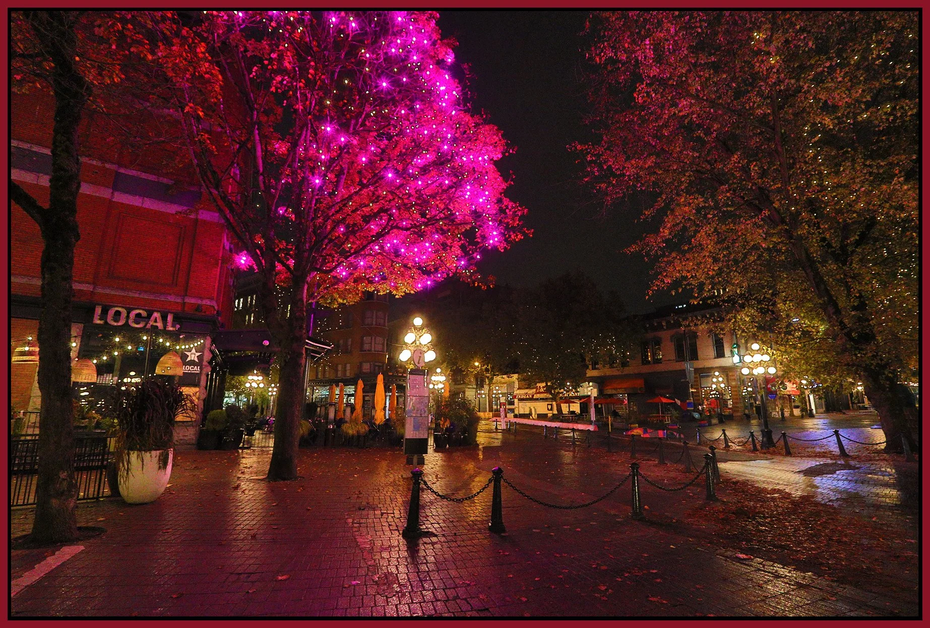Gastown Maple Tree Sq_Oct 20_2021_HDR_5A7313_4x6s.jpg