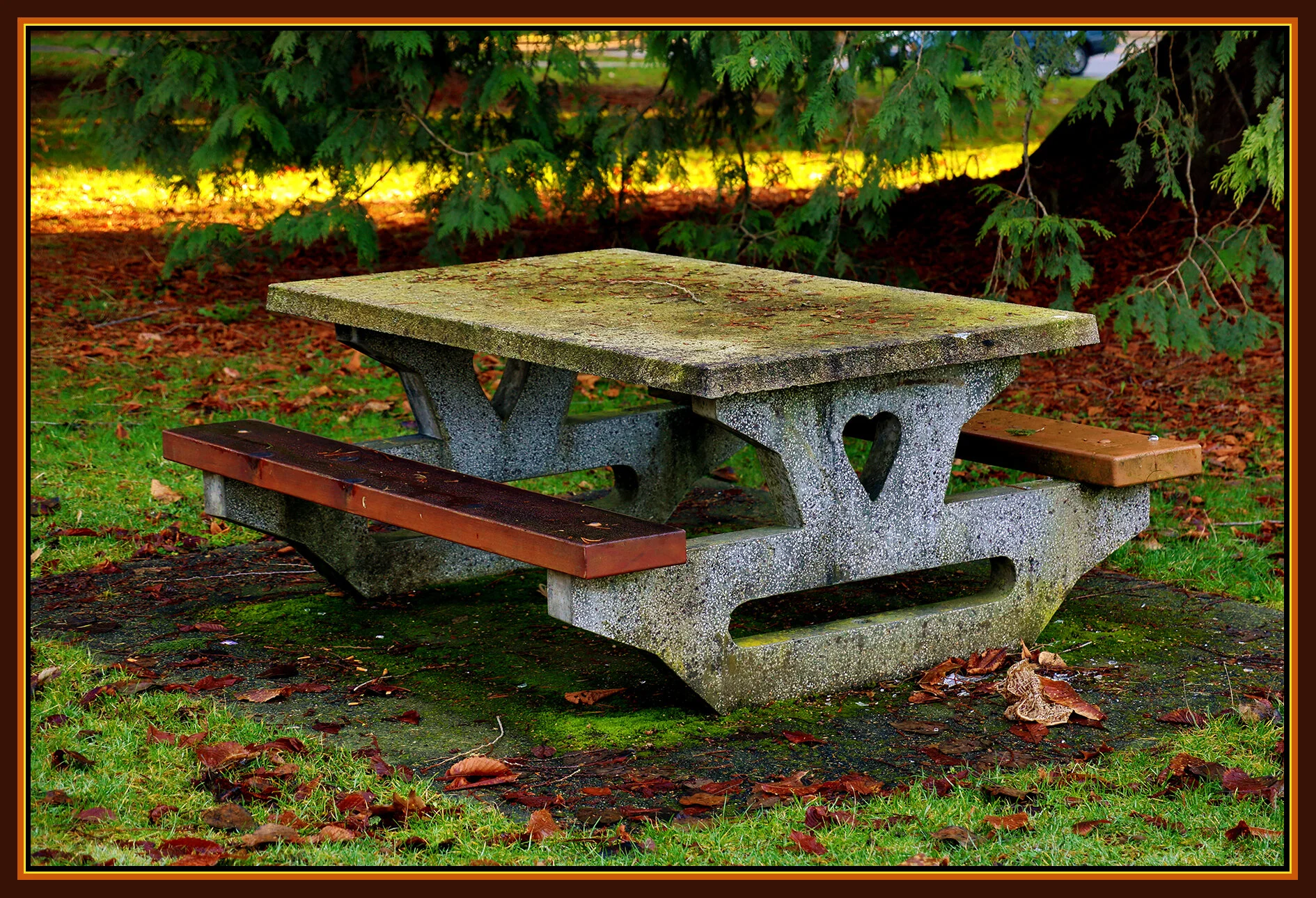 Bench in New Wesminster_Jan 13_2019_HDR_D2077_peNatBeauty_4x6s.jpg