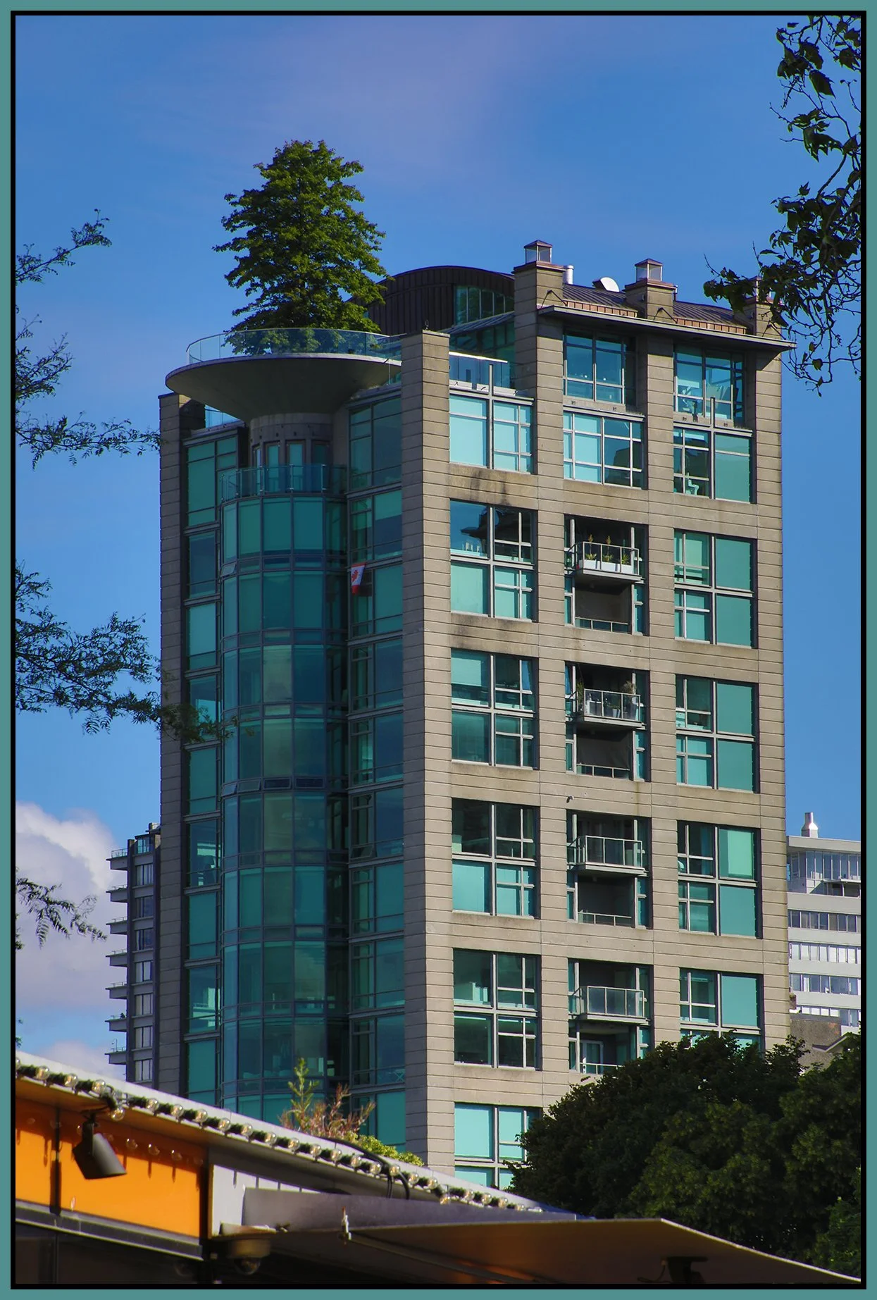 English Bay Tree_Jun 30_2022_HDR_5B9045_4x6s.jpg