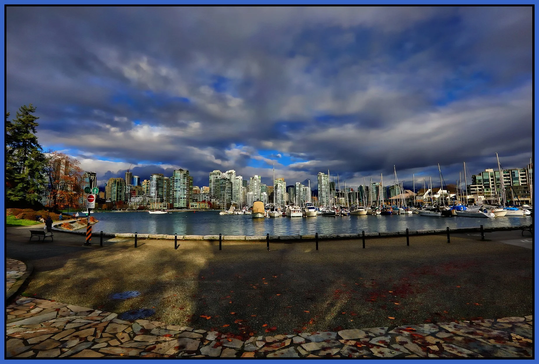 2 View False Ck_Nov 19_2023_HDR_5C9888_peShdngCntrst_4x6s.jpg