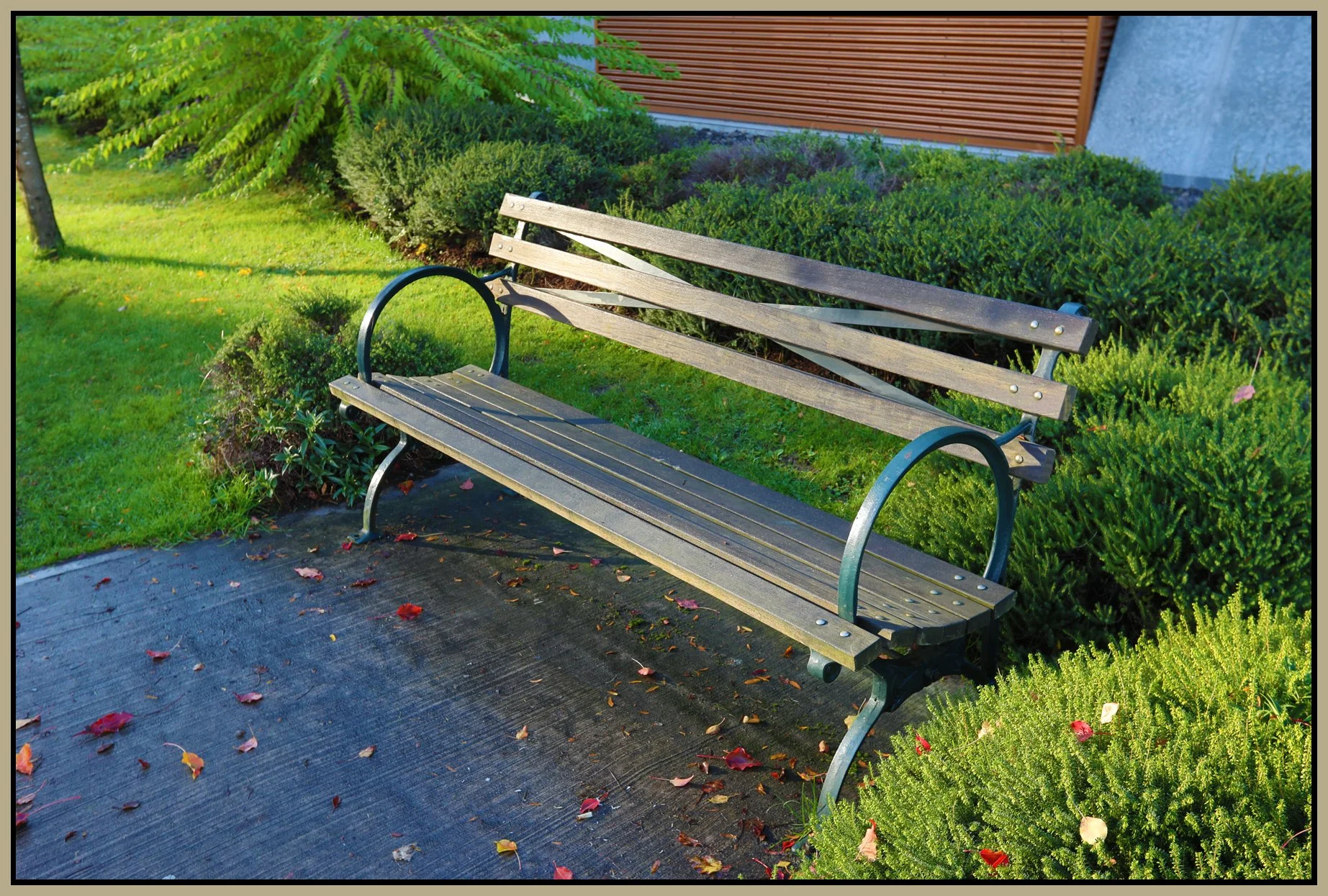 Bench on Terminal Ave_Oct 29_2017_HDR_B5396_4x6s.jpg