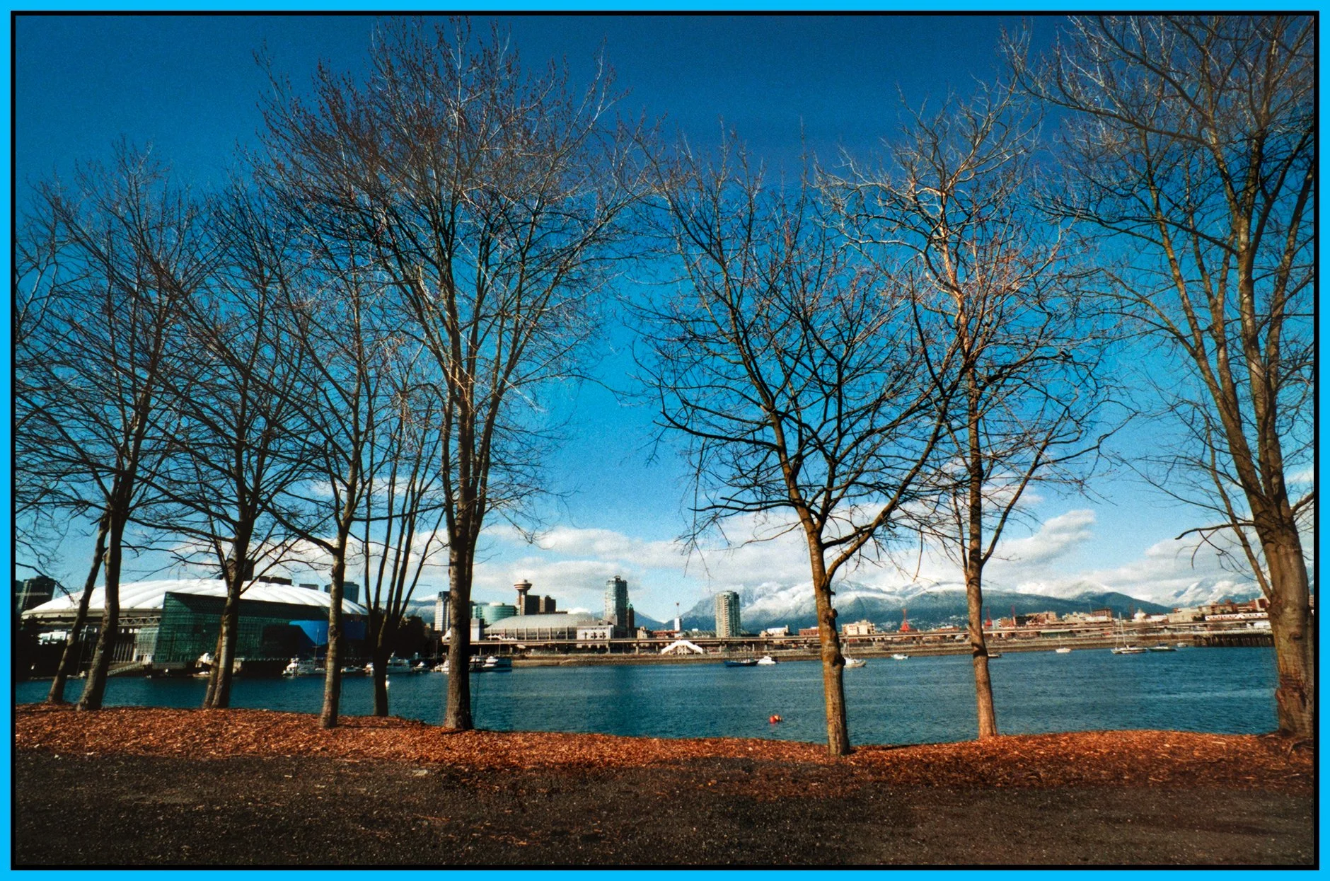 4 View False Creek_Mar 17_2002_2018_4x6s.jpg