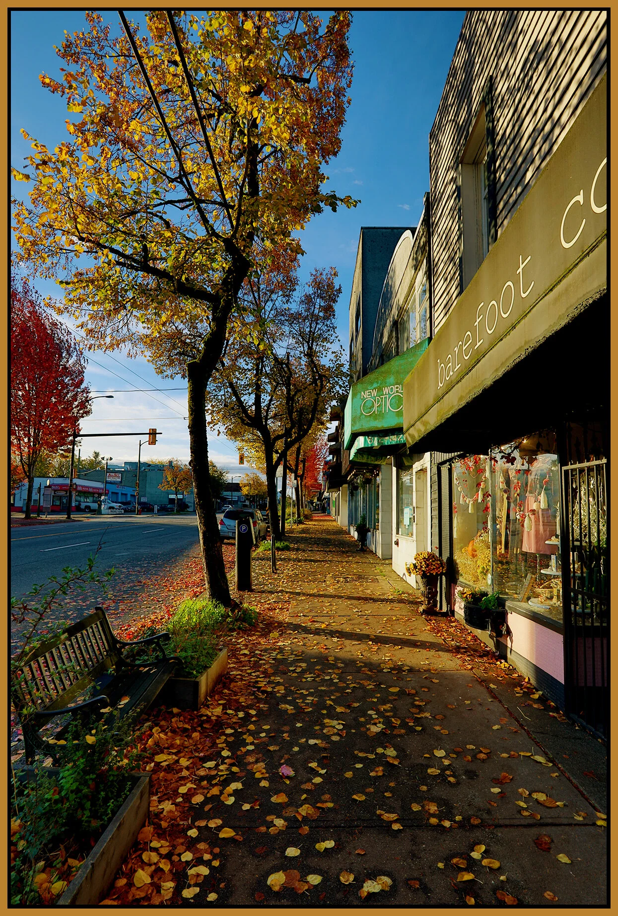 3709 Main St LkgS Fall Leaves_Oct 10_2021_HDR_5A6012_peNatB II_4x6s.jpg
