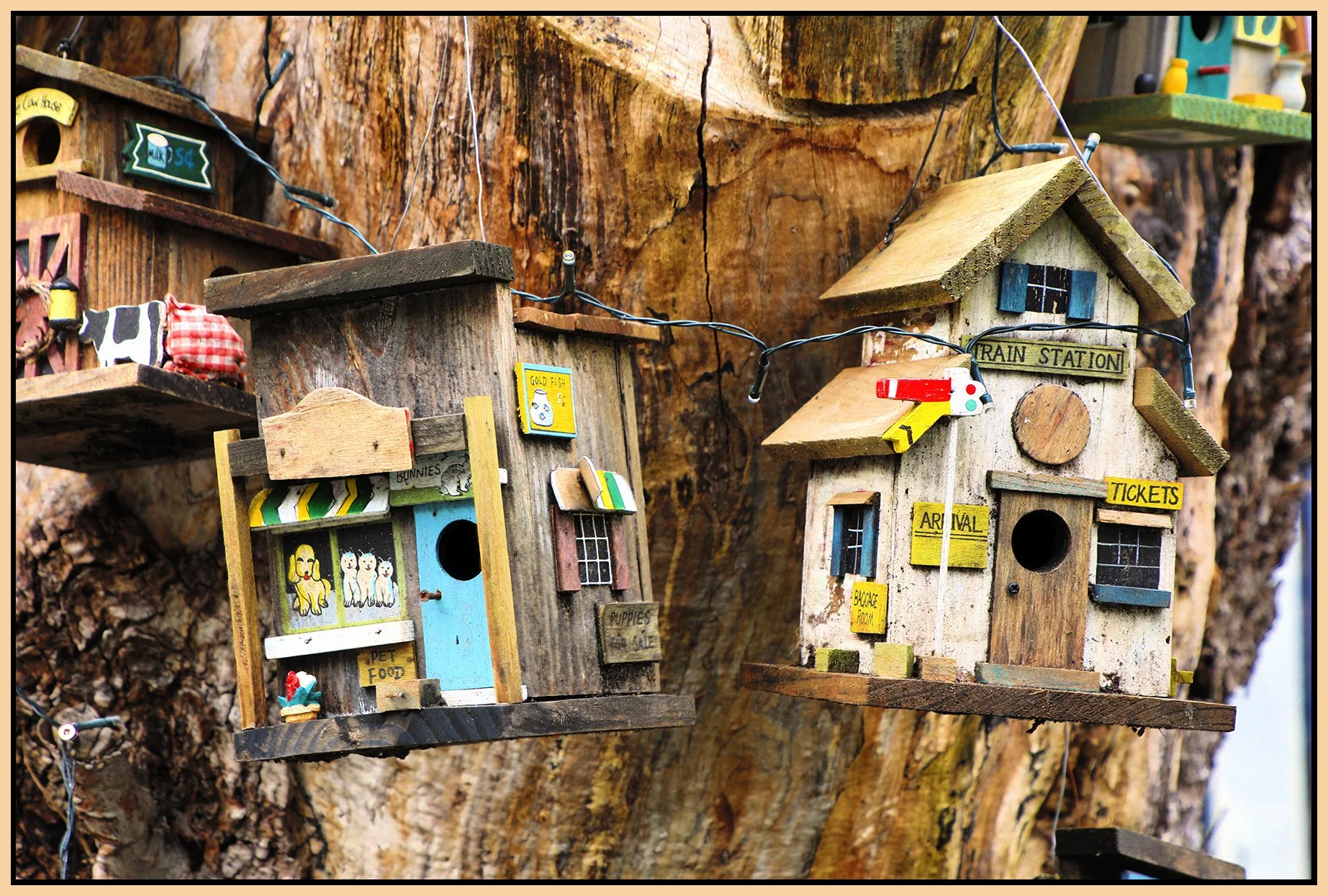 580 Heatley Tree Houses_Apr 26_2026_HDR_4H7386_peHyperstrip_4x6s.jpg