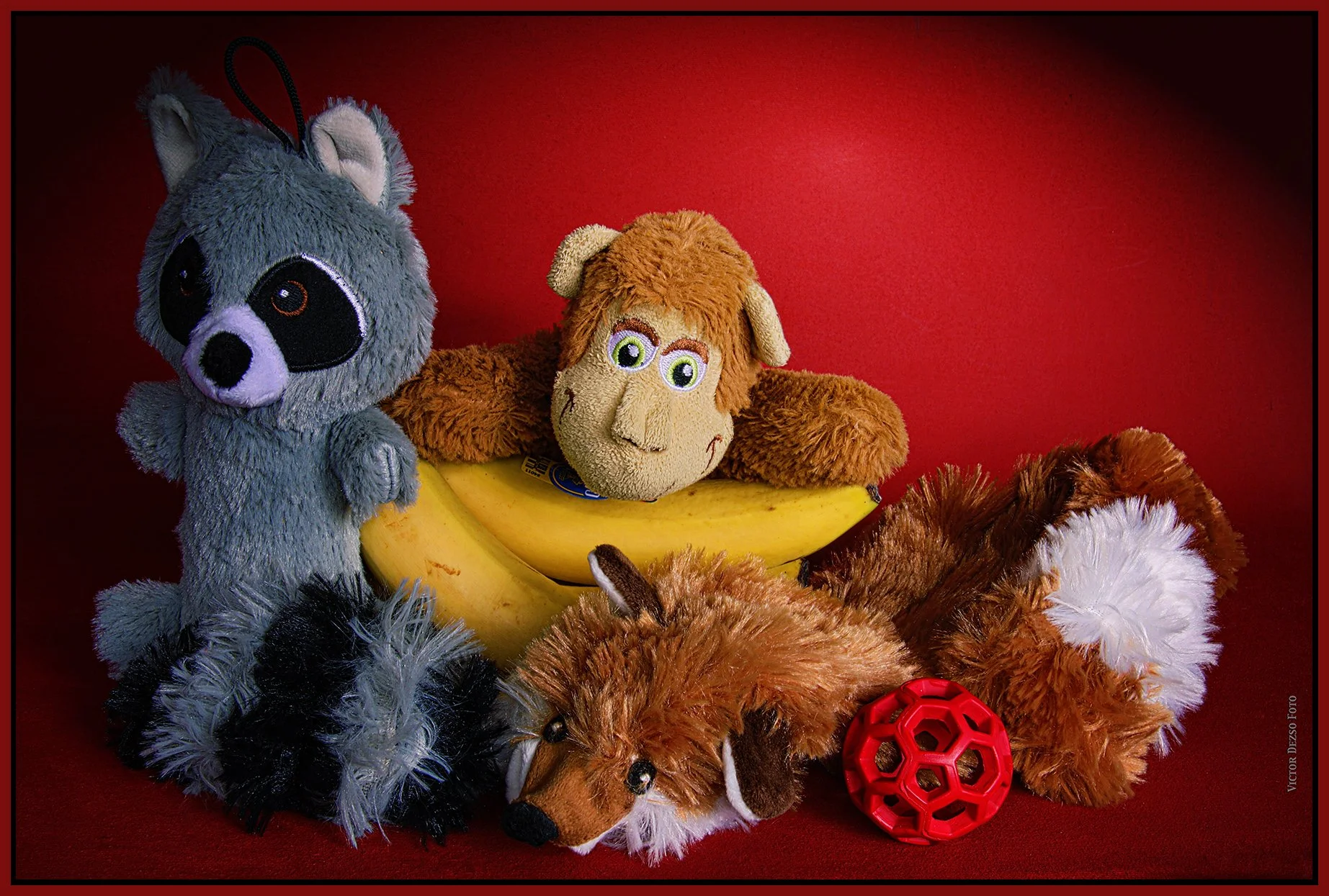 Monkey & Friends_Feb 16_2025_HDR_4J5687_peShrpfctBrtnd_4x6s.jpg