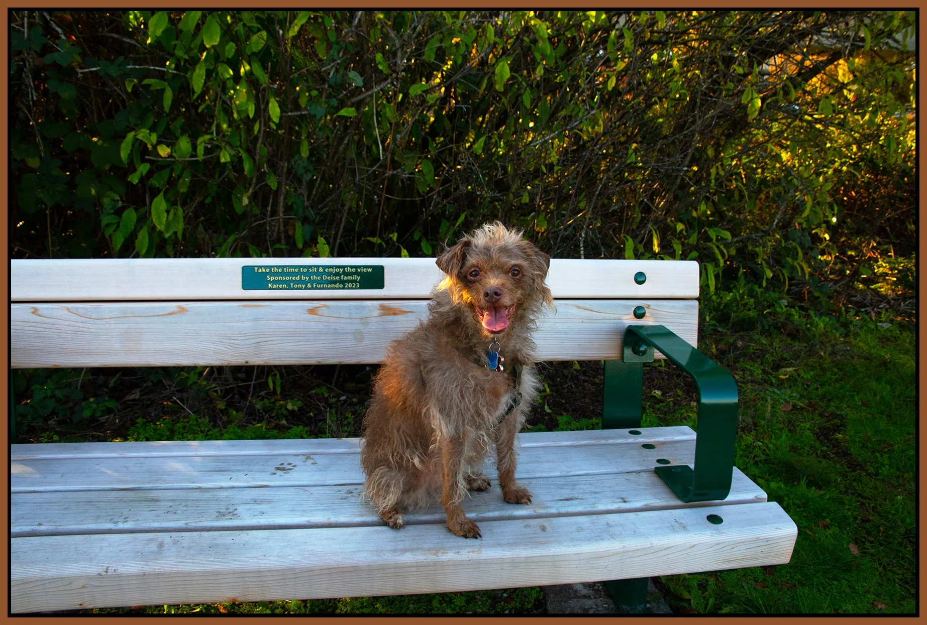 Frances_Fraser Regional Greenway_Oct 26_2023_4H8834_peFullEdit_4x6s.jpg