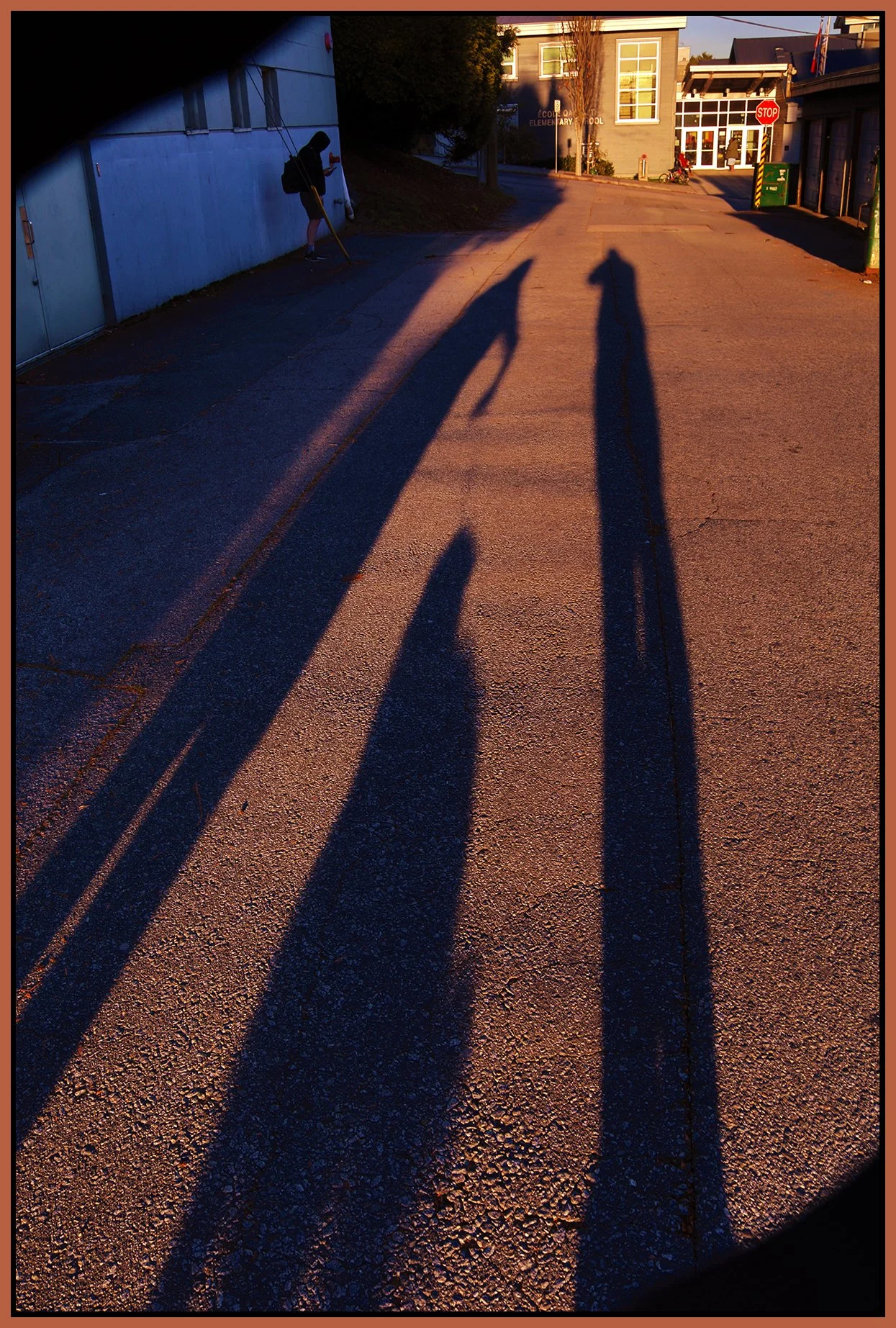 New West Lane Shadows_Nov 16_2023_HDR_4H9109_4x6s.jpg